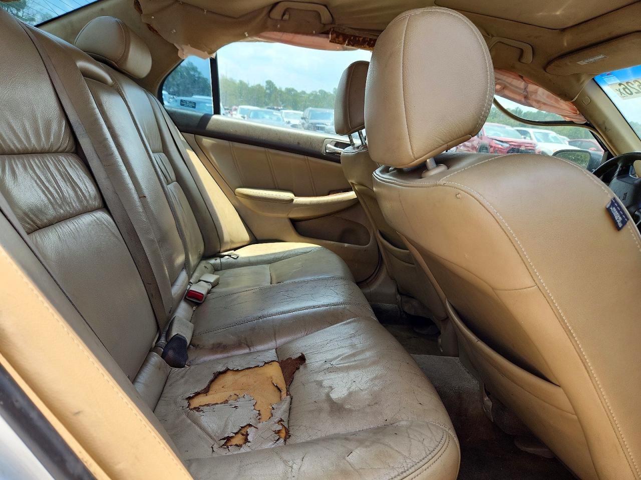 2006 Honda Accord Ex White vin: 1HGCM66586A033887