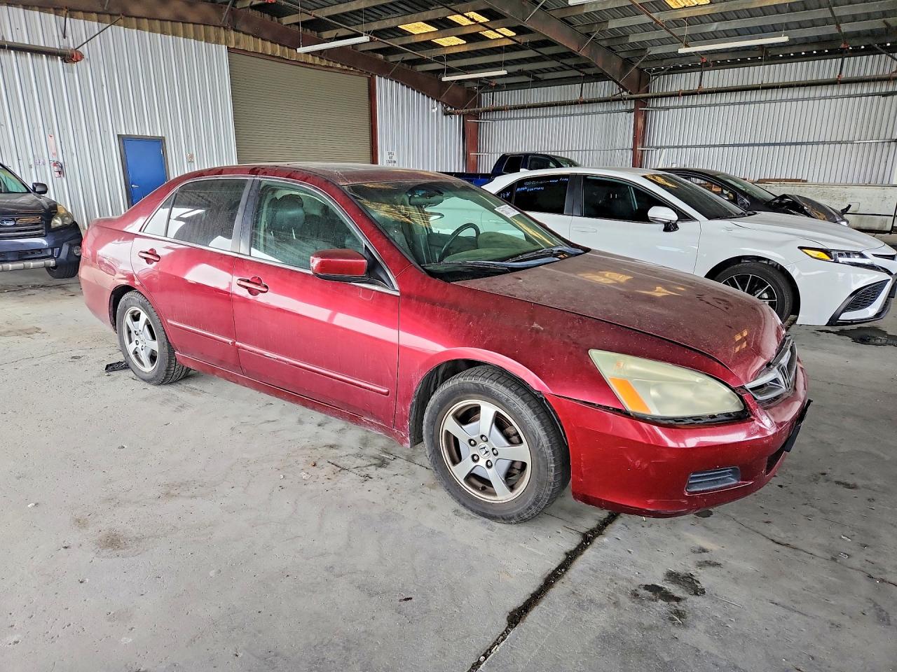 2006 Honda Accord Ex Бордовый vin: 1HGCM66586A046672