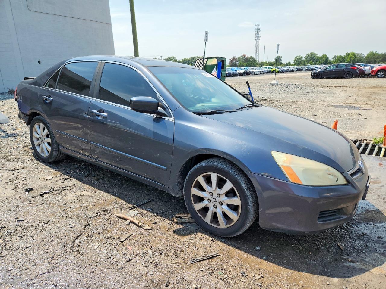 2007 Honda Accord Ex Gray vin: 1HGCM66587A051324