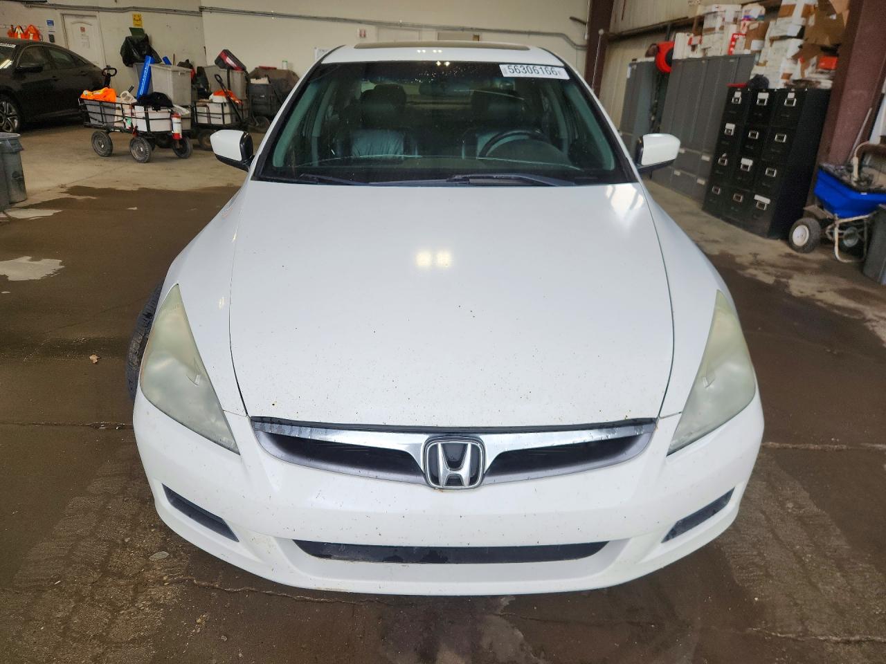 2007 Honda Accord Ex White vin: 1HGCM66587A802437
