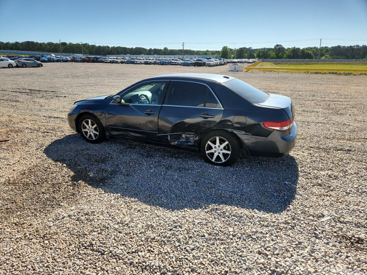 2004 Honda Accord Gray vin: 1HGCM66594A052445