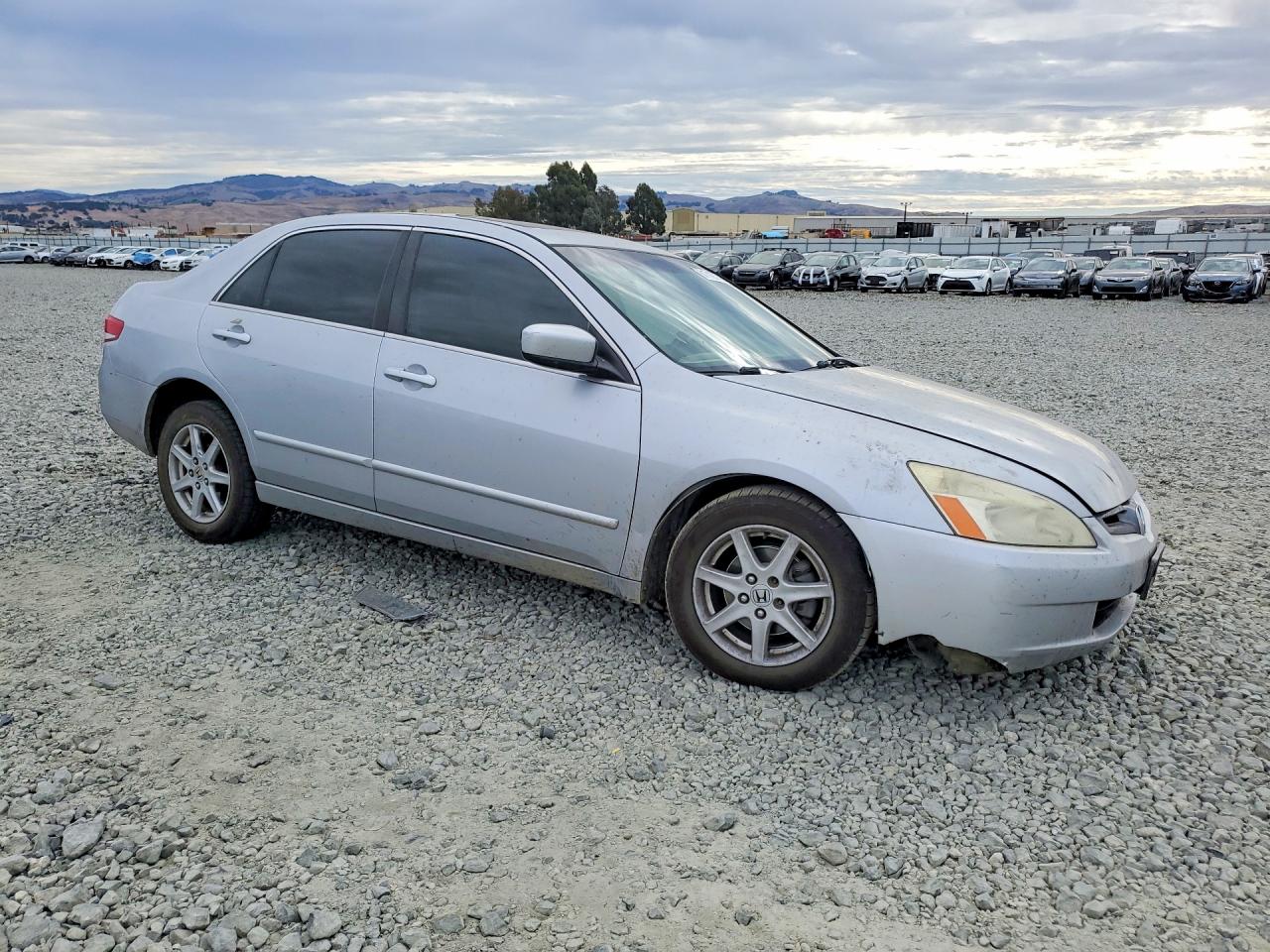 2004 Honda Accord Ex Silver vin: 1HGCM66594A059718