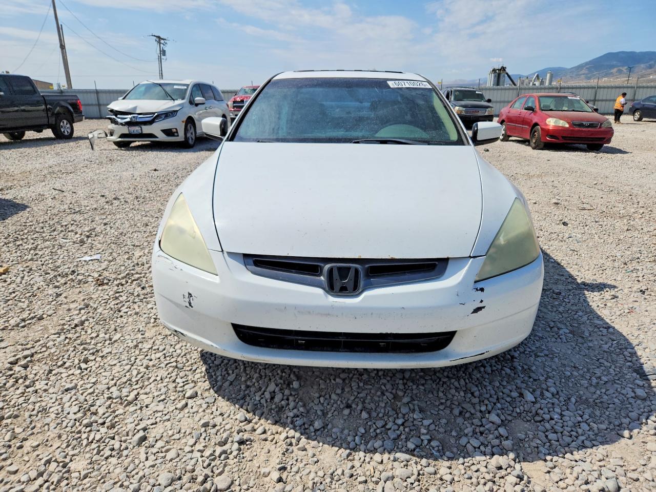 2004 Honda Accord Ex White vin: 1HGCM66594A076390
