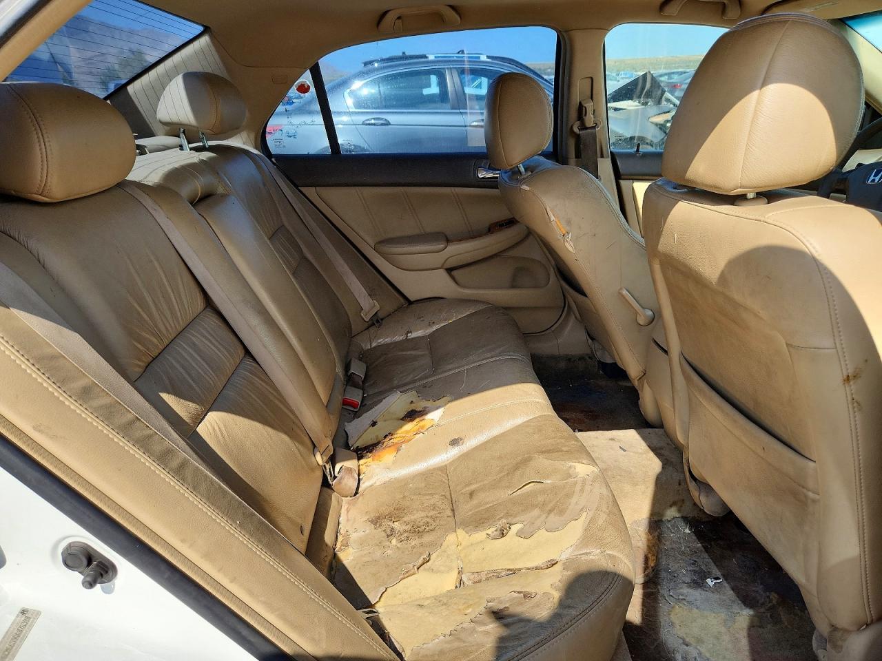 2004 Honda Accord Ex White vin: 1HGCM66594A076390
