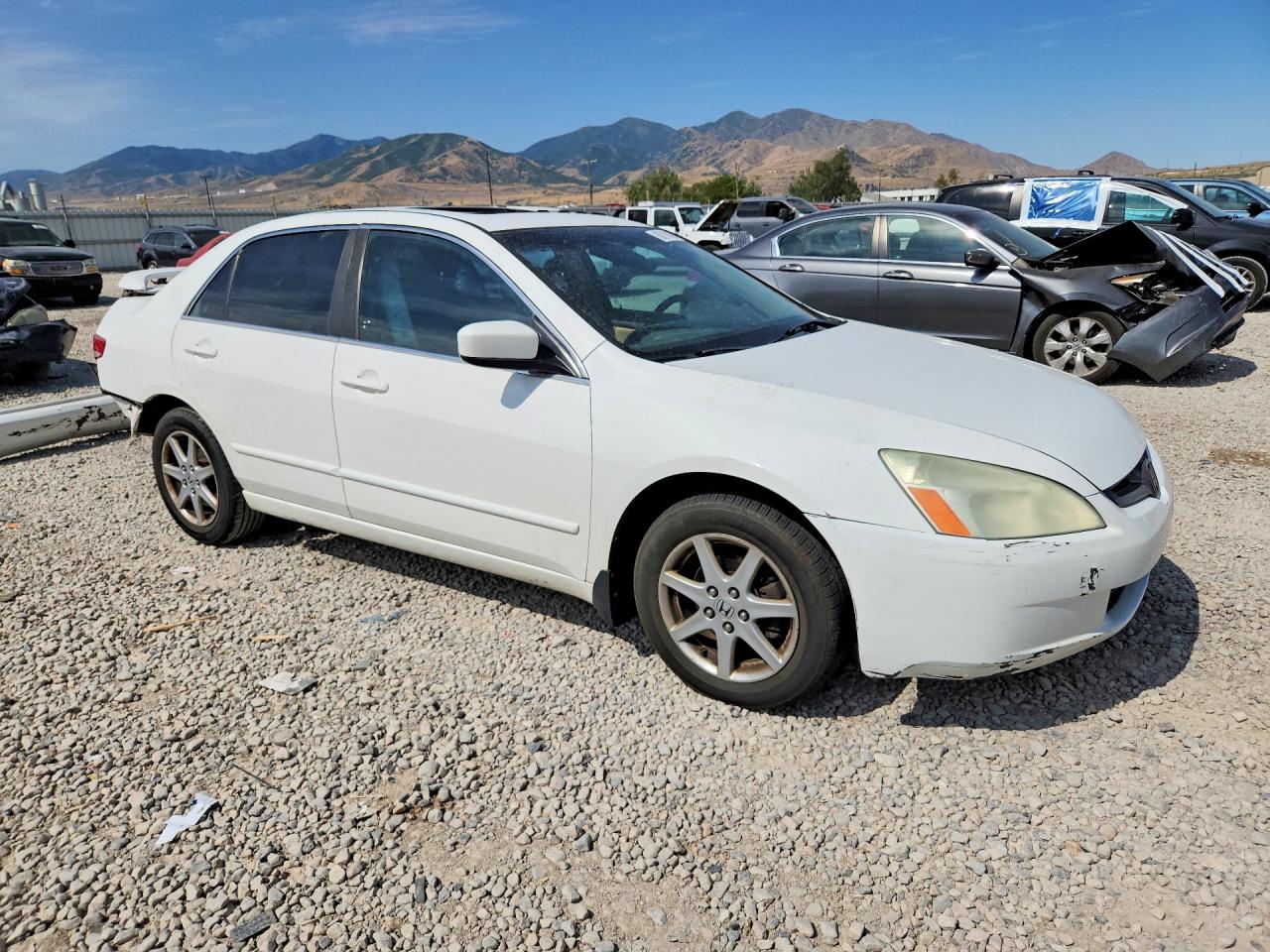 2004 Honda Accord Ex White vin: 1HGCM66594A076390
