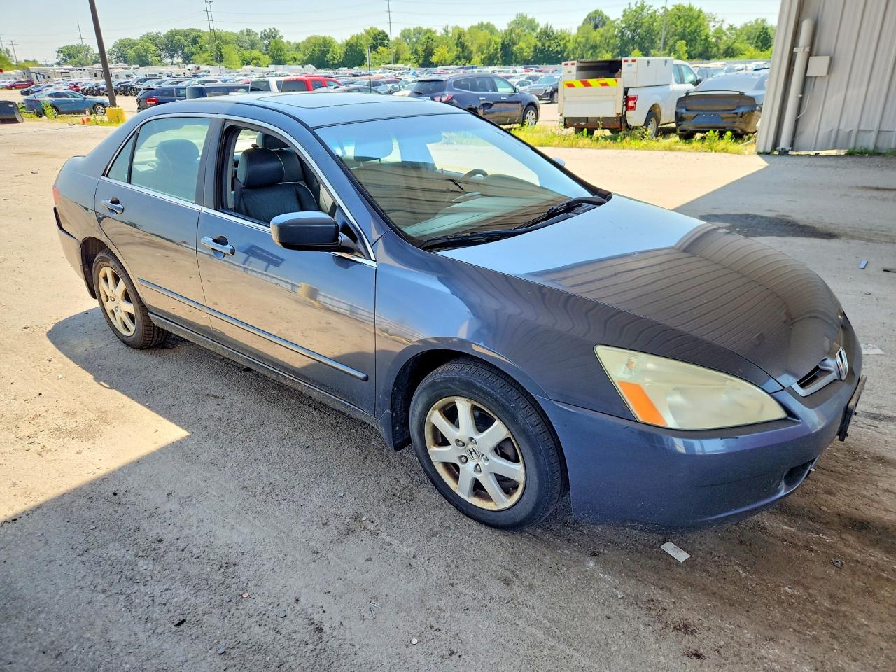 2005 Honda Accord Black vin: 1HGCM66595A008835