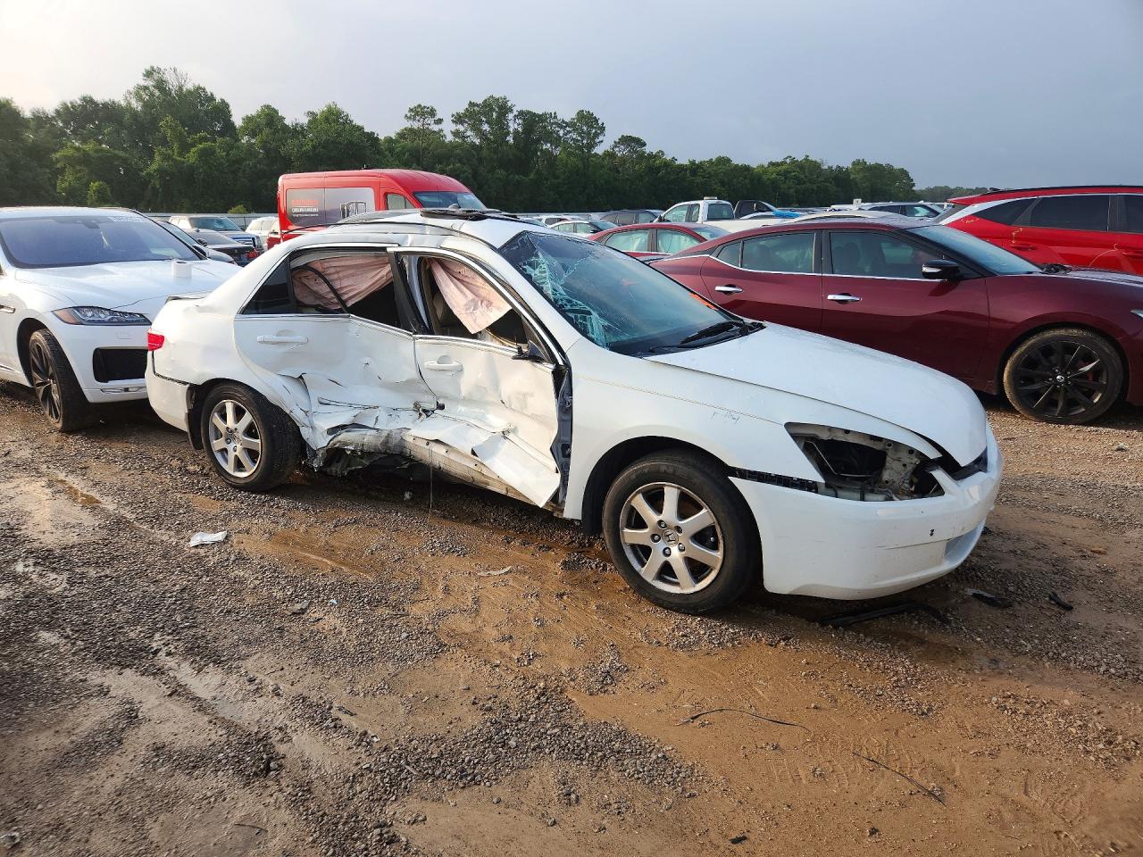 2005 Honda Accord Ex White vin: 1HGCM66595A055198