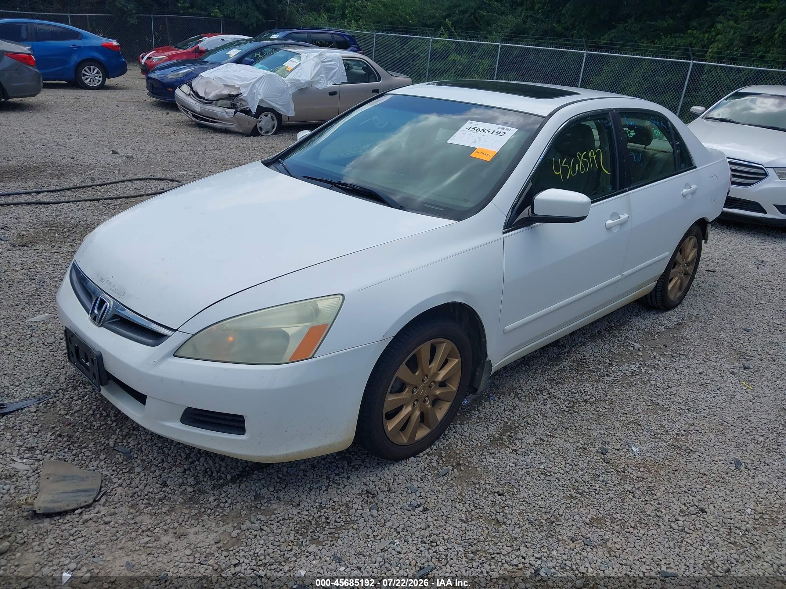 2006 Honda Accord 3.0 Ex White vin: 1HGCM66596A029573