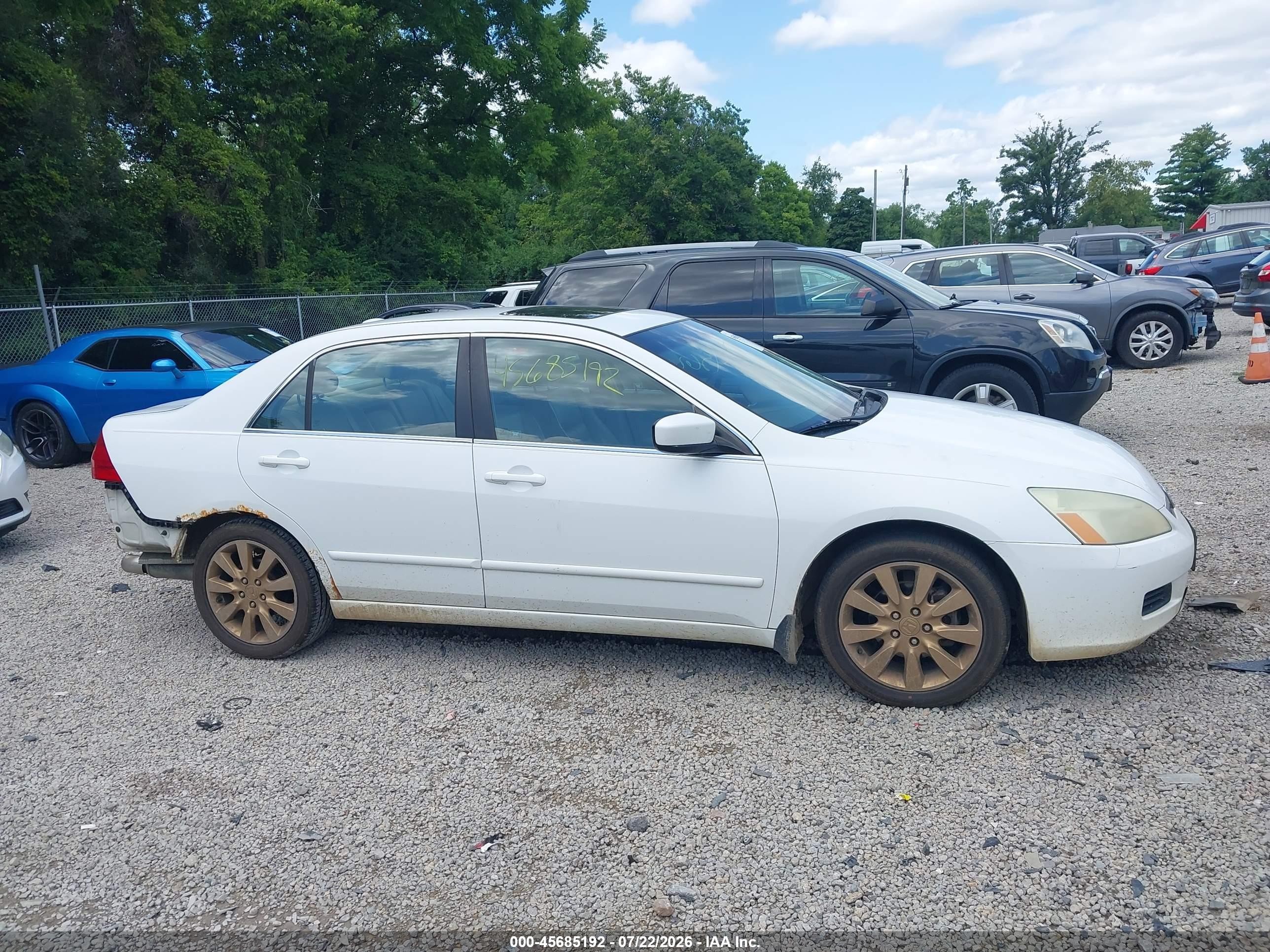 2006 Honda Accord 3.0 Ex White vin: 1HGCM66596A029573