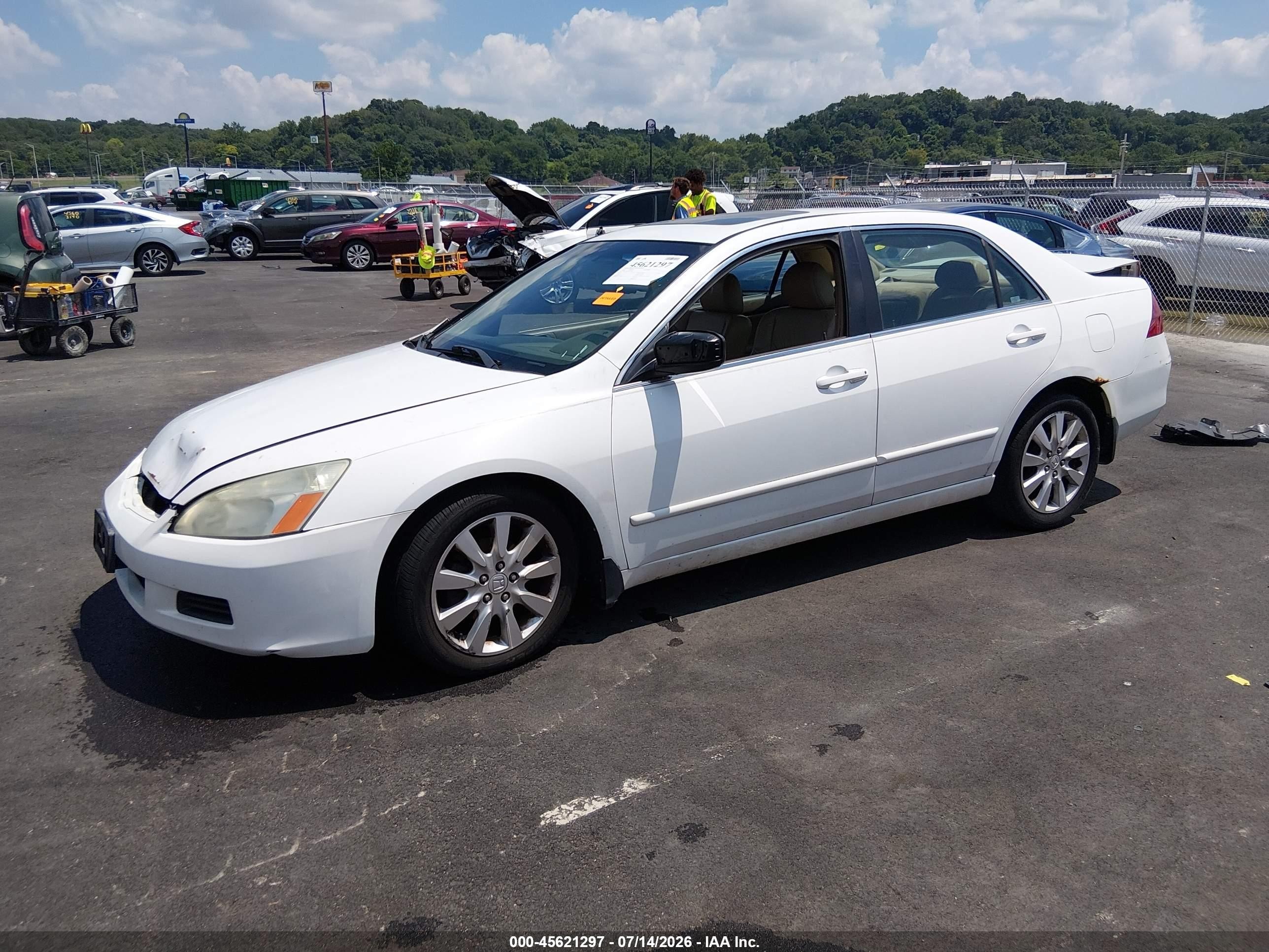 2006 Honda Accord 3.0 Ex White vin: 1HGCM66596A039181