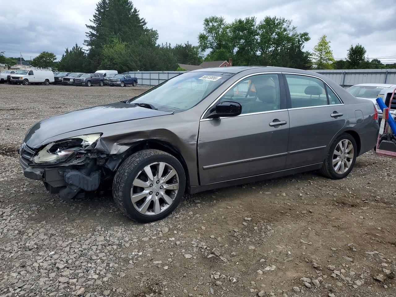 2006 Honda Accord Ex Gray vin: 1HGCM66596A043831