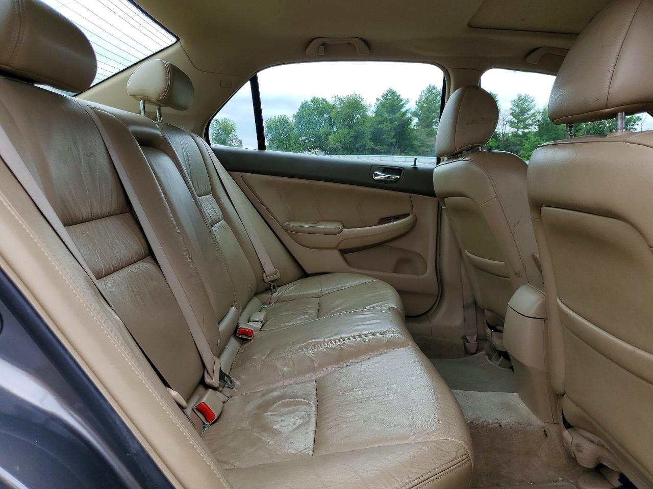 2006 Honda Accord Ex Gray vin: 1HGCM66596A043831