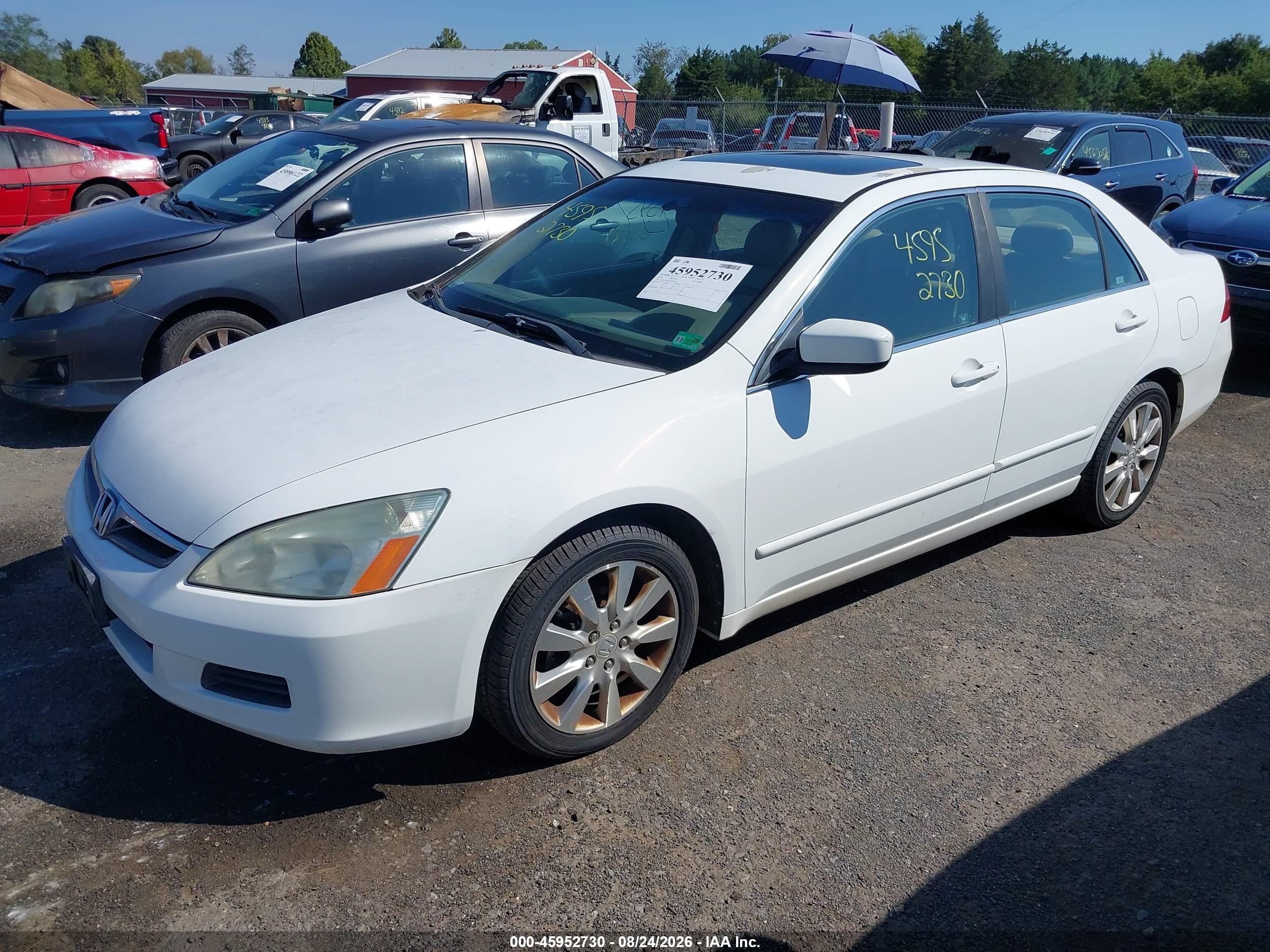 2006 Honda Accord 3.0 Ex White vin: 1HGCM66596A047345