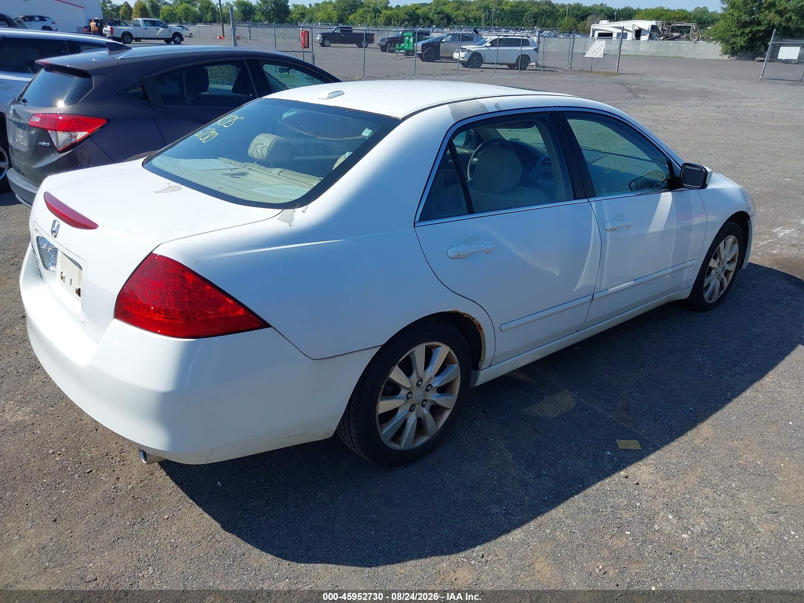 2006 Honda Accord 3.0 Ex White vin: 1HGCM66596A047345