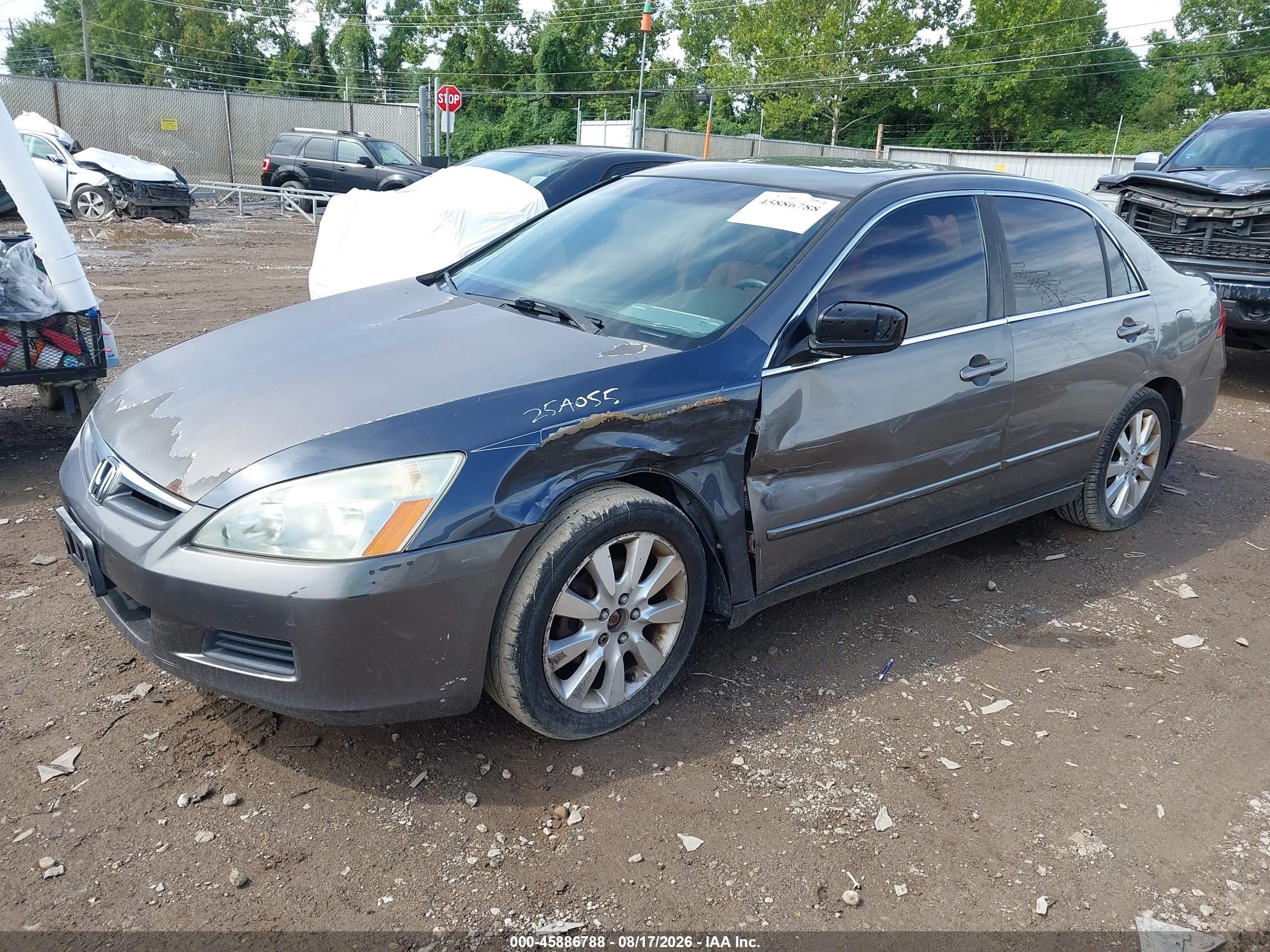 2006 Honda Accord 3.0 Ex Gray vin: 1HGCM66596A063593