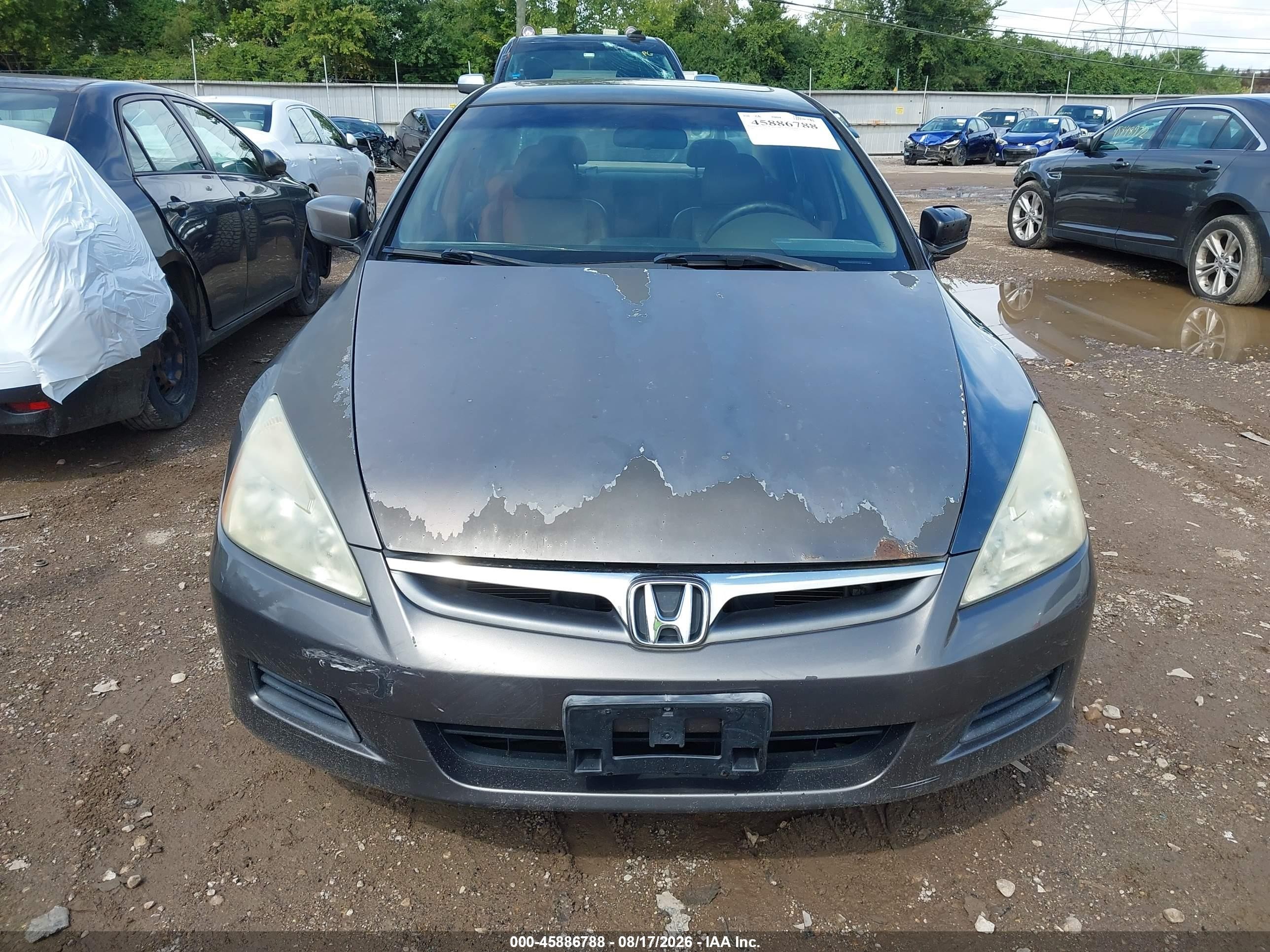 2006 Honda Accord 3.0 Ex Gray vin: 1HGCM66596A063593