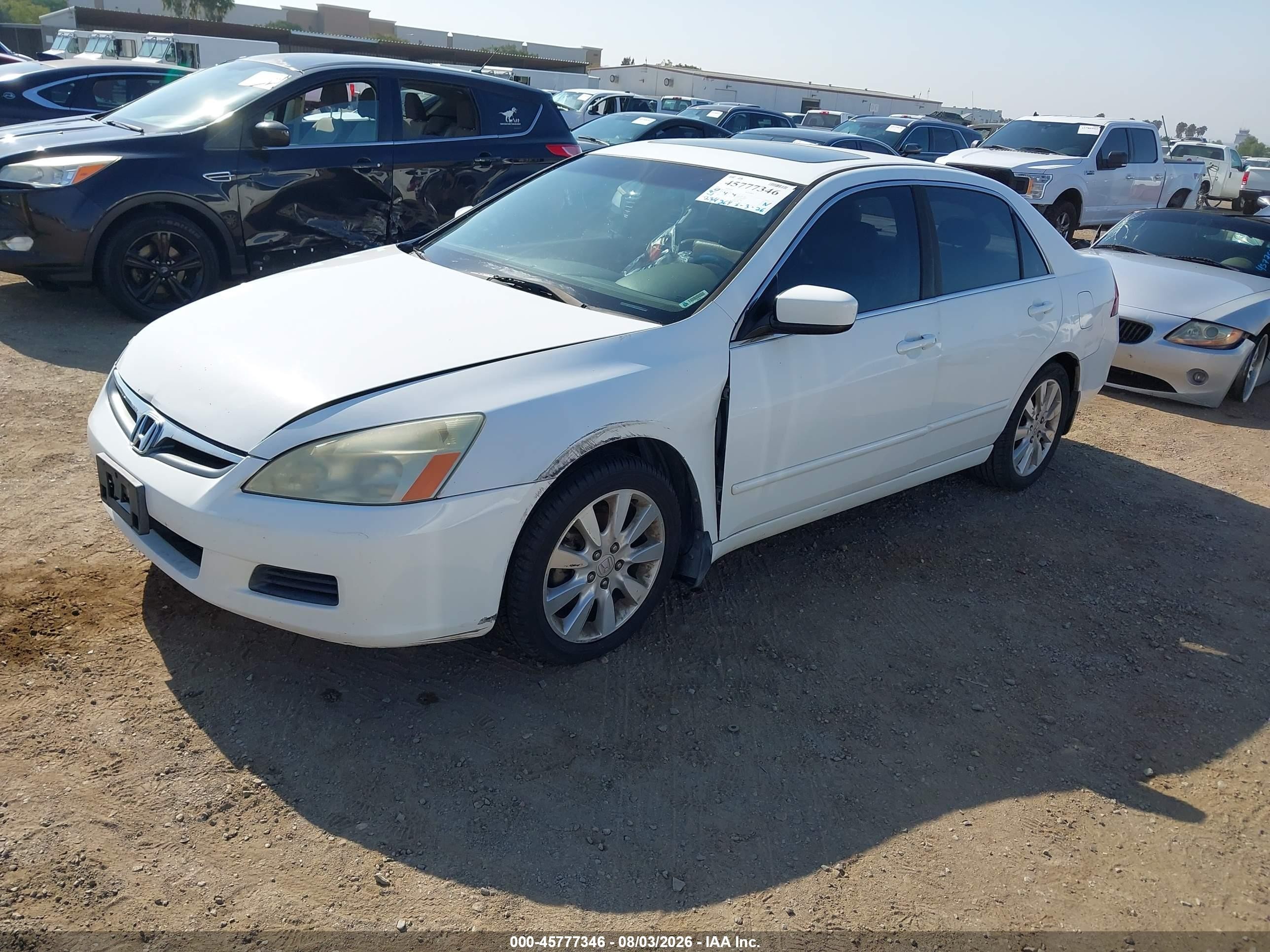2006 Honda Accord 3.0 Ex White vin: 1HGCM66596A073542