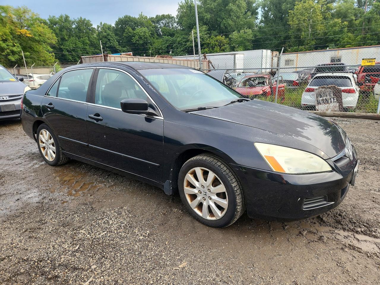 2007 Honda Accord Ex Black vin: 1HGCM66597A056113