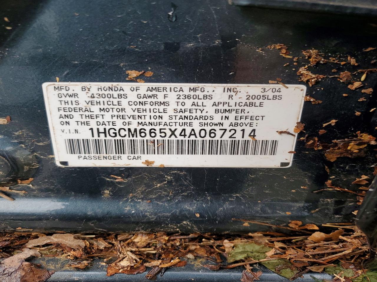 2004 Honda Accord Ex Green vin: 1HGCM665X4A067214
