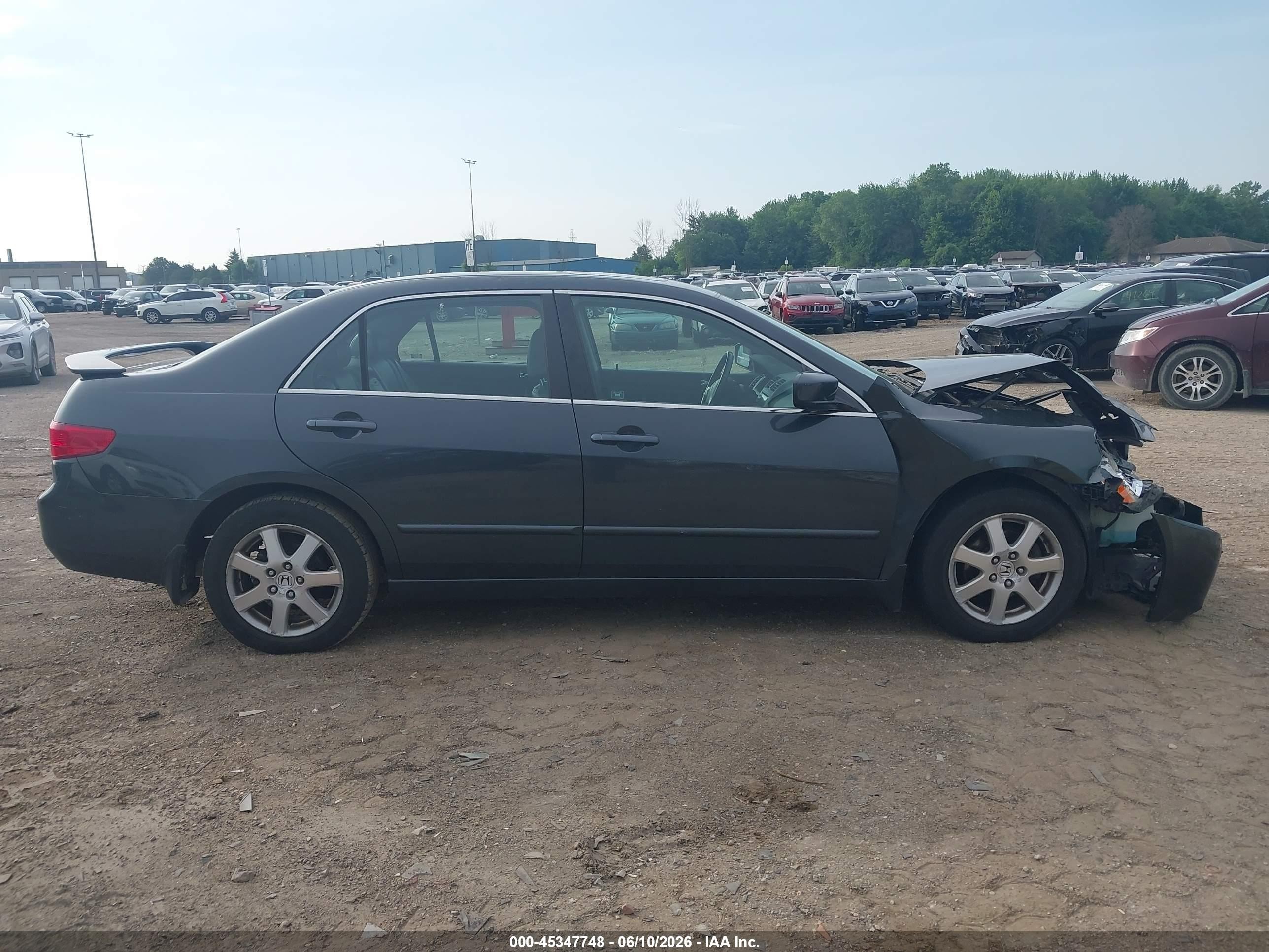 2005 Honda Accord 3.0 Ex Gray vin: 1HGCM665X5A057008