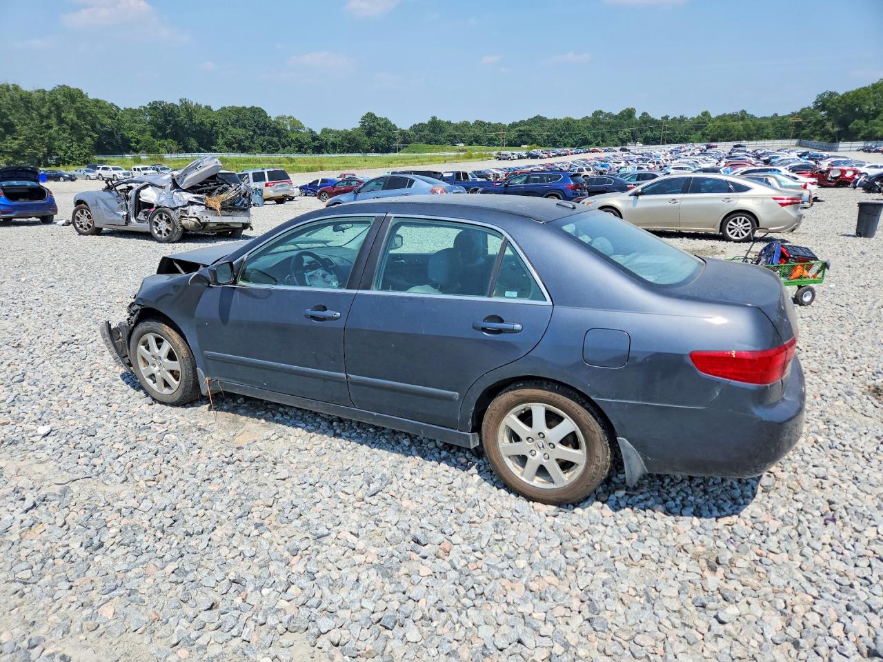 2005 Honda Accord Ex Серый vin: 1HGCM665X5A072706