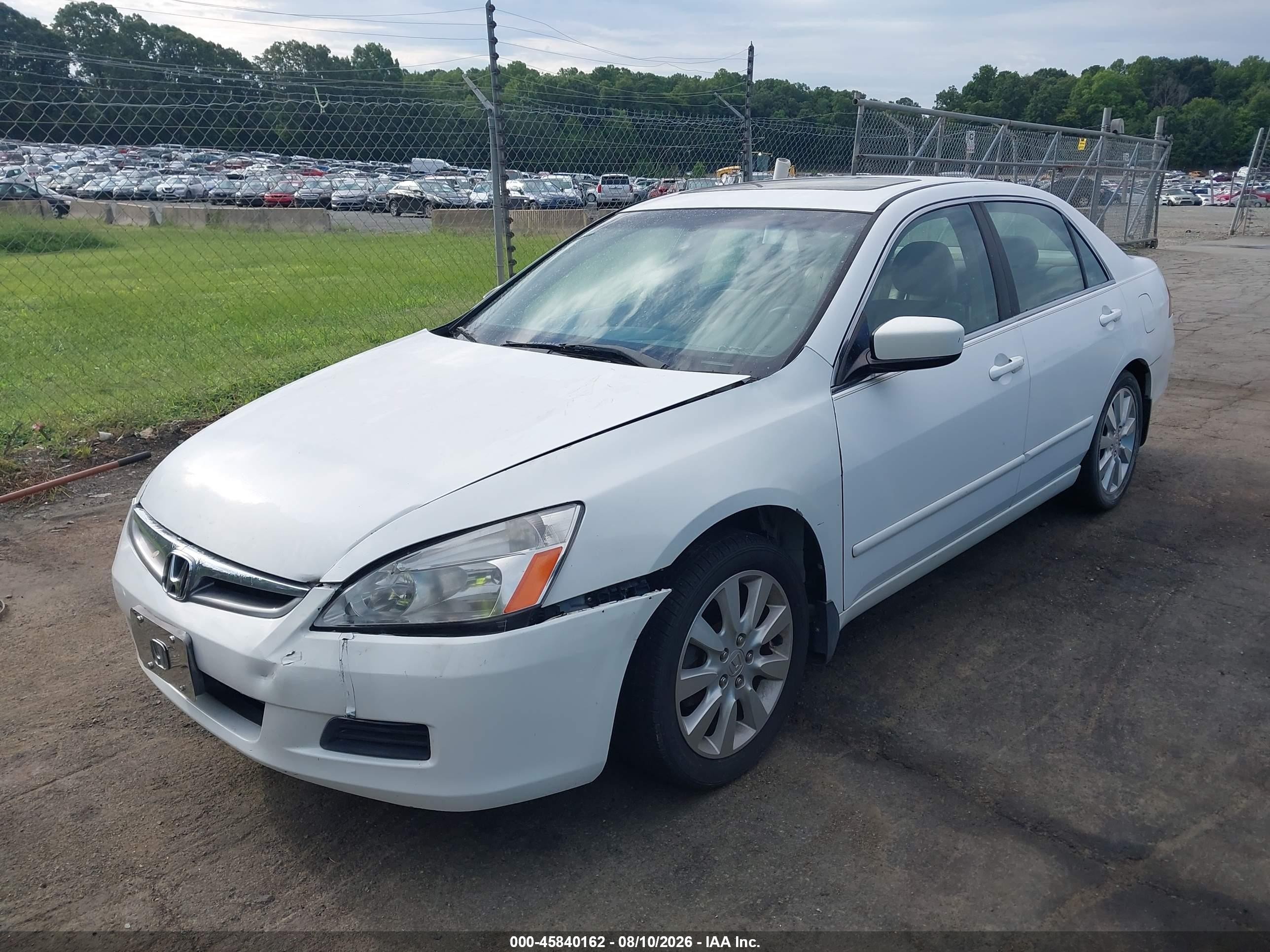 2006 Honda Accord 3.0 Ex Белый vin: 1HGCM665X6A041635