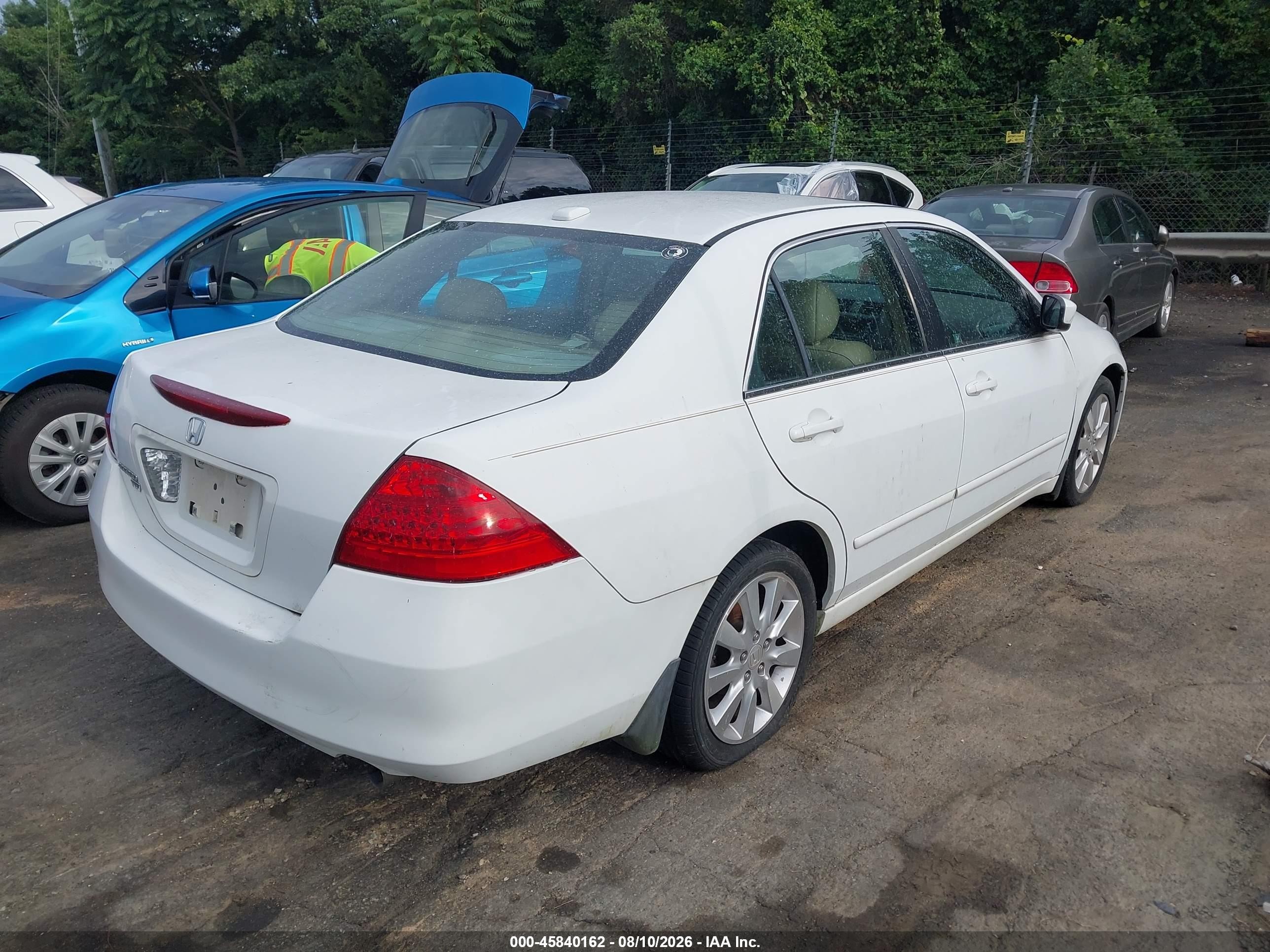 2006 Honda Accord 3.0 Ex Белый vin: 1HGCM665X6A041635