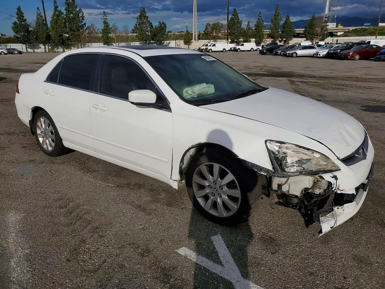 2007 Honda Accord Ex White vin: 1HGCM665X7A039370