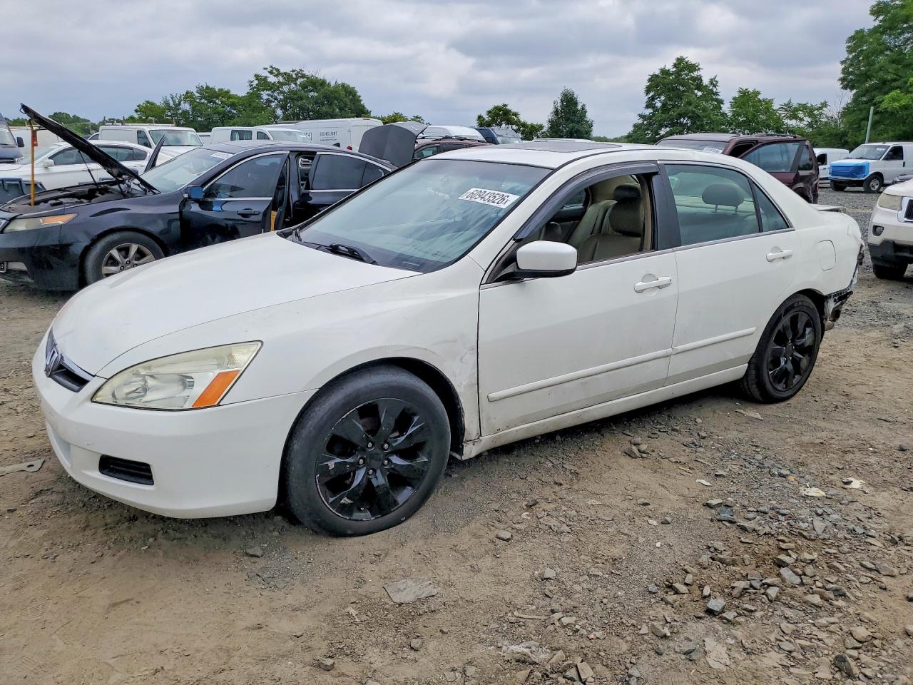 2007 Honda Accord Ex White vin: 1HGCM66807A054275
