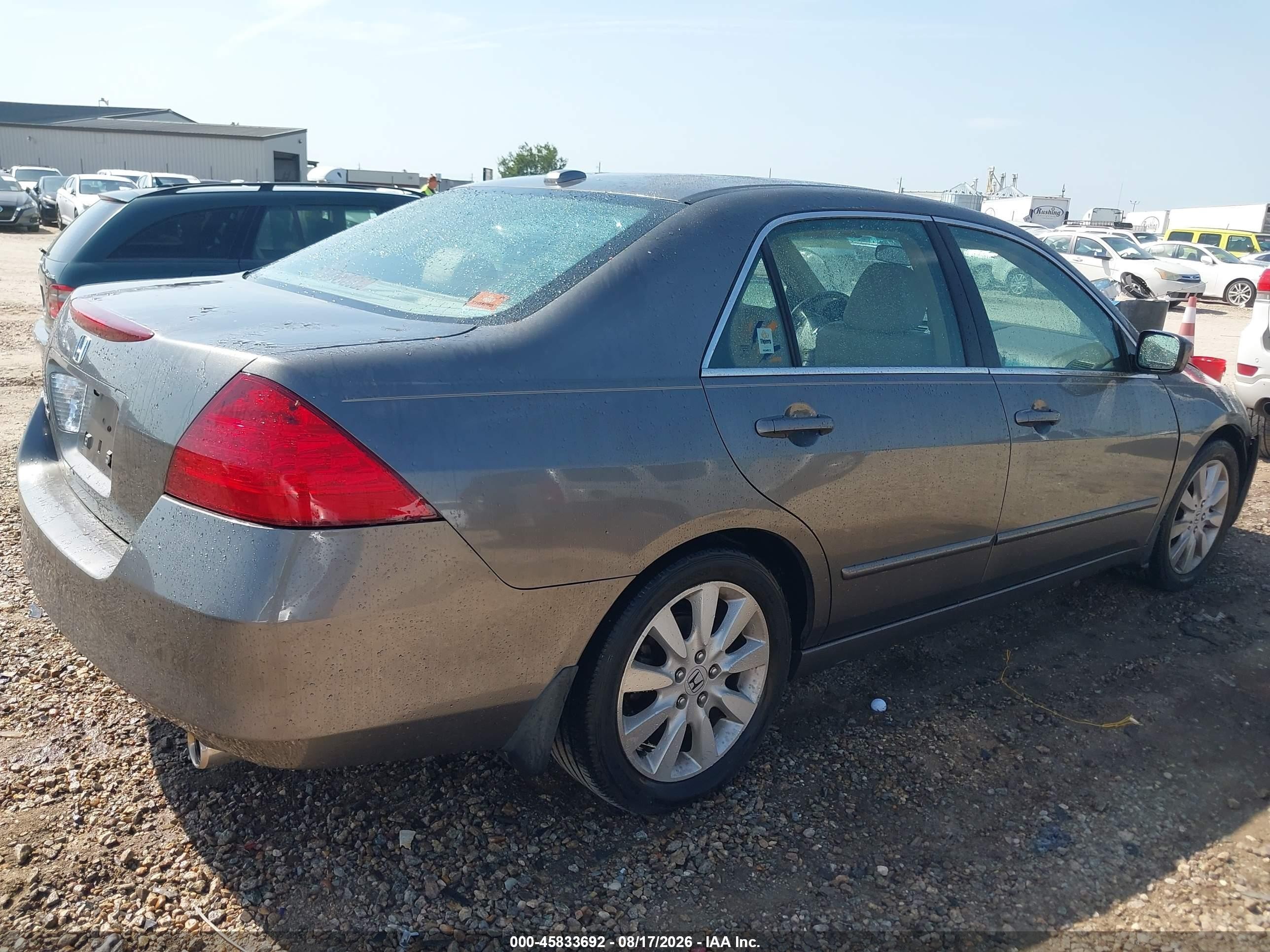 2007 Honda Accord 3.0 Ex Gray vin: 1HGCM66817A060666