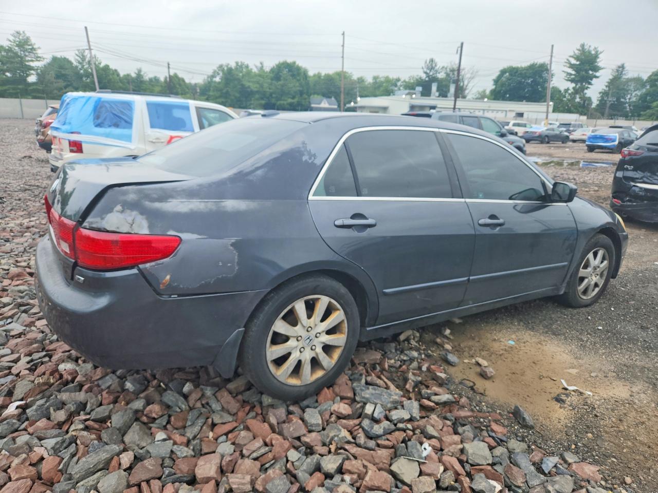 2005 Honda Accord Gray vin: 1HGCM66825A001039