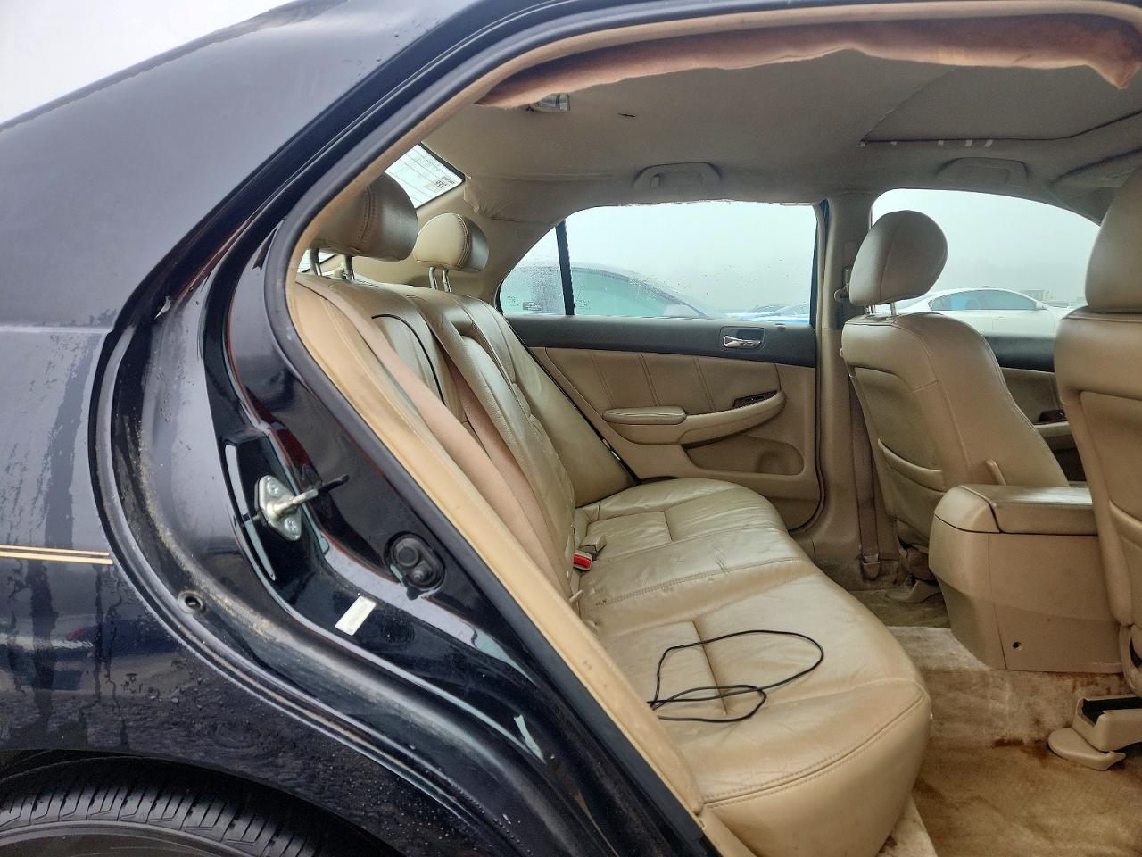 2006 Honda Accord Ex Black vin: 1HGCM66836A020104