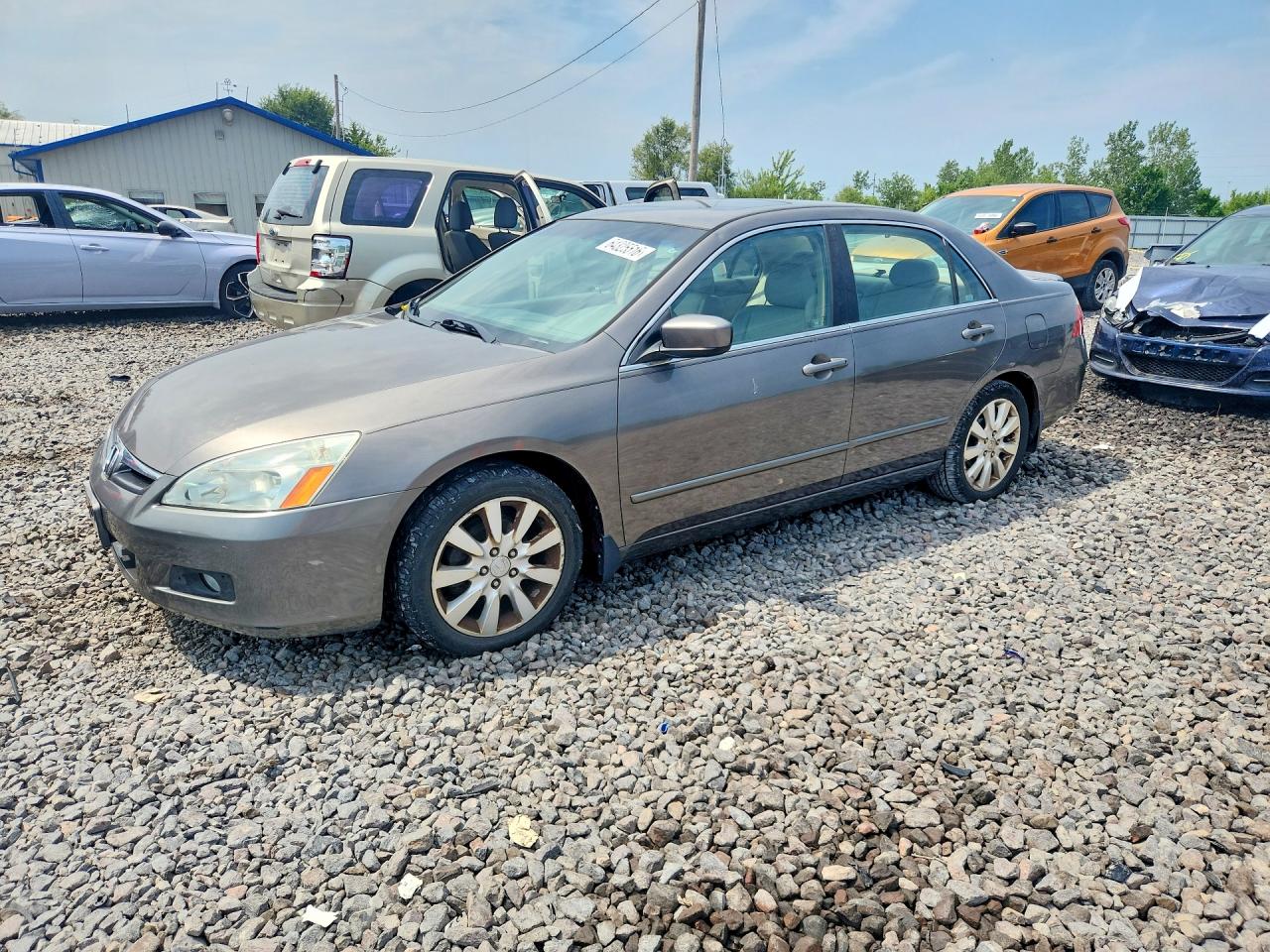 2006 Honda Accord Ex Gray vin: 1HGCM66836A067195