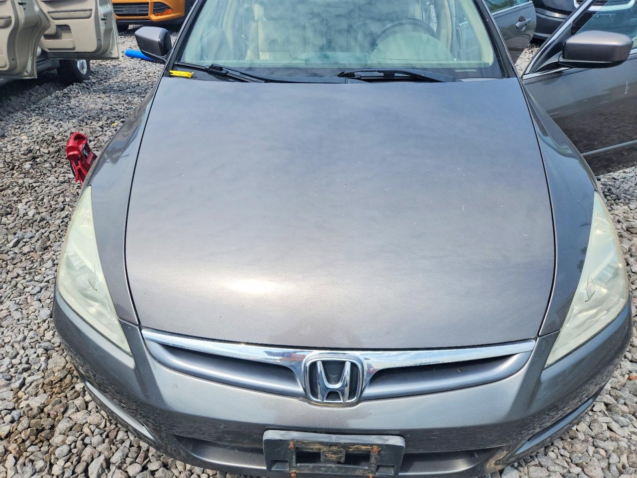 2006 Honda Accord Ex Gray vin: 1HGCM66836A067195