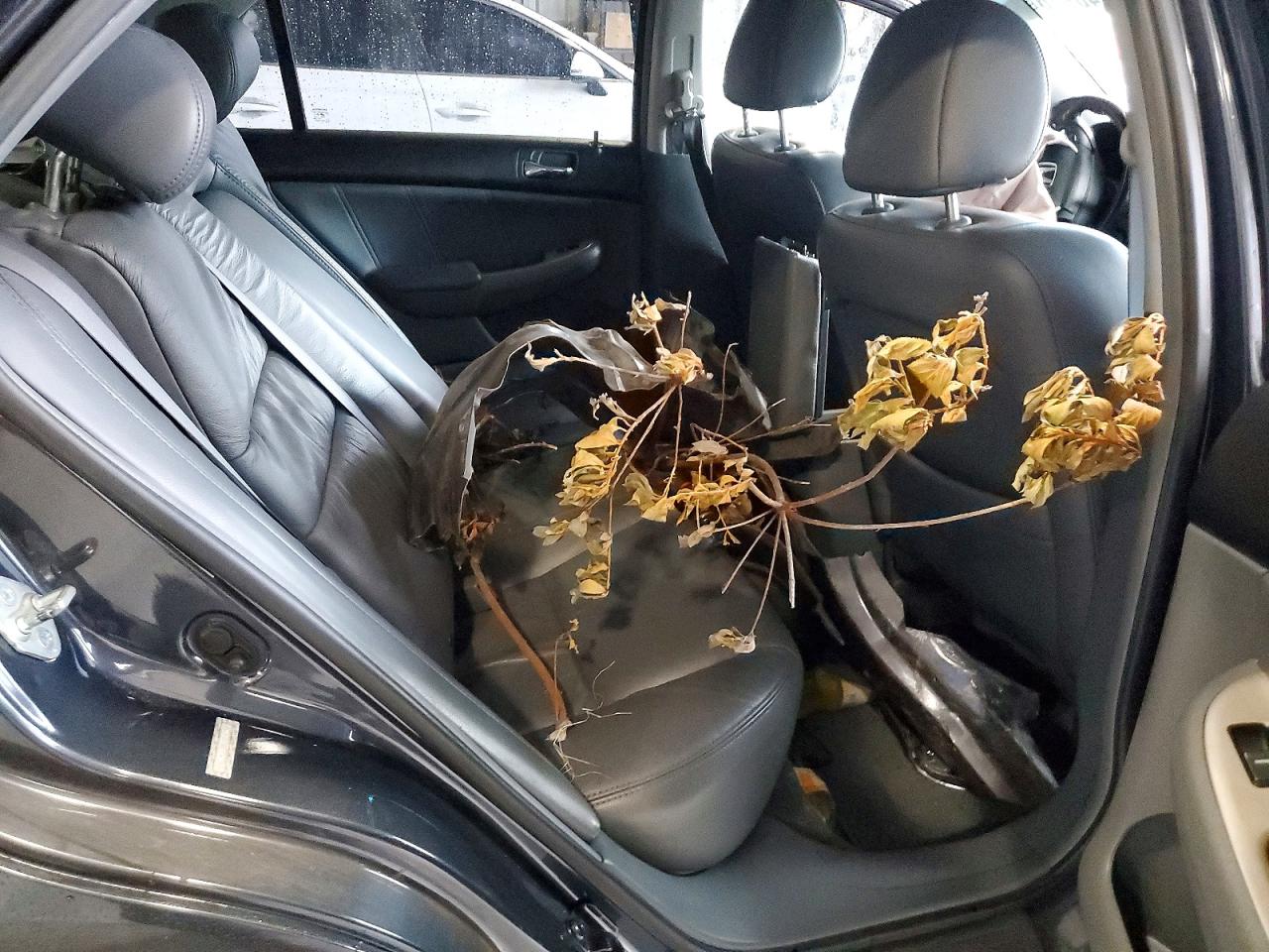 2006 Honda Accord Ex Charcoal vin: 1HGCM66846A054357