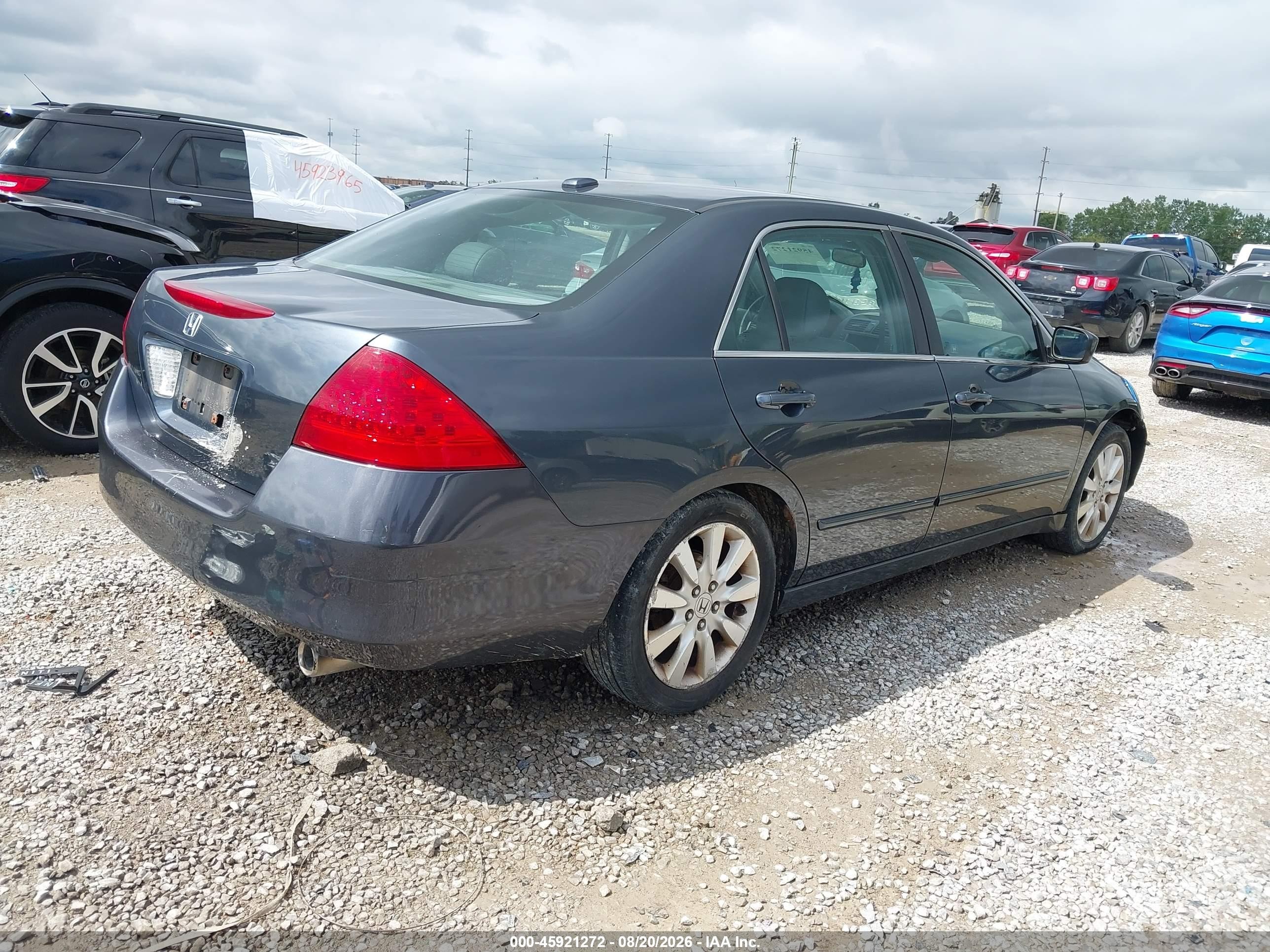 2007 Honda Accord 3.0 Ex Gray vin: 1HGCM66857A075526
