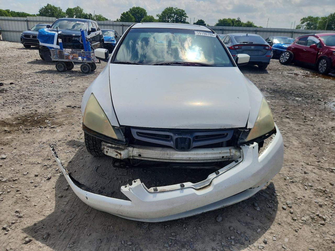 2007 Honda Accord White vin: 1HGCM66867A017988