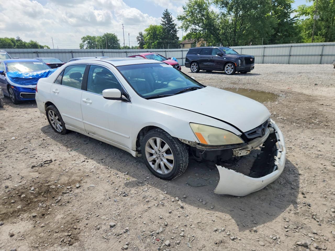 2007 Honda Accord White vin: 1HGCM66867A017988