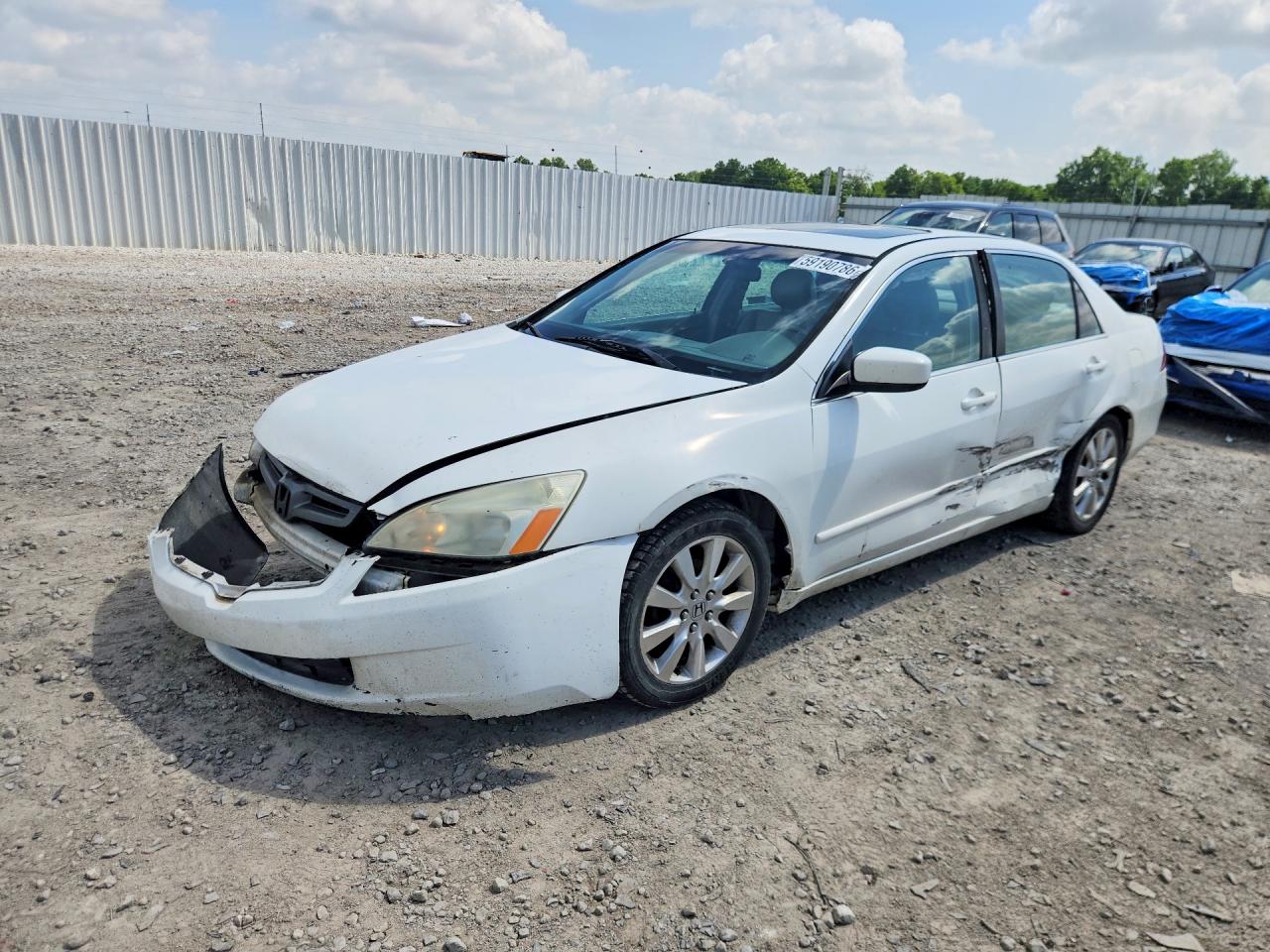 2007 Honda Accord White vin: 1HGCM66867A017988