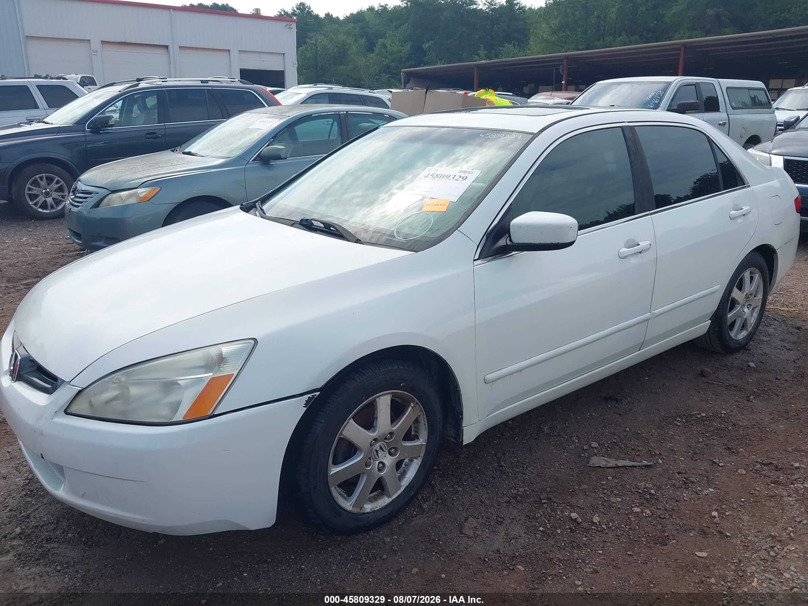 2005 Honda Accord 3.0 Ex Белый vin: 1HGCM66875A052777