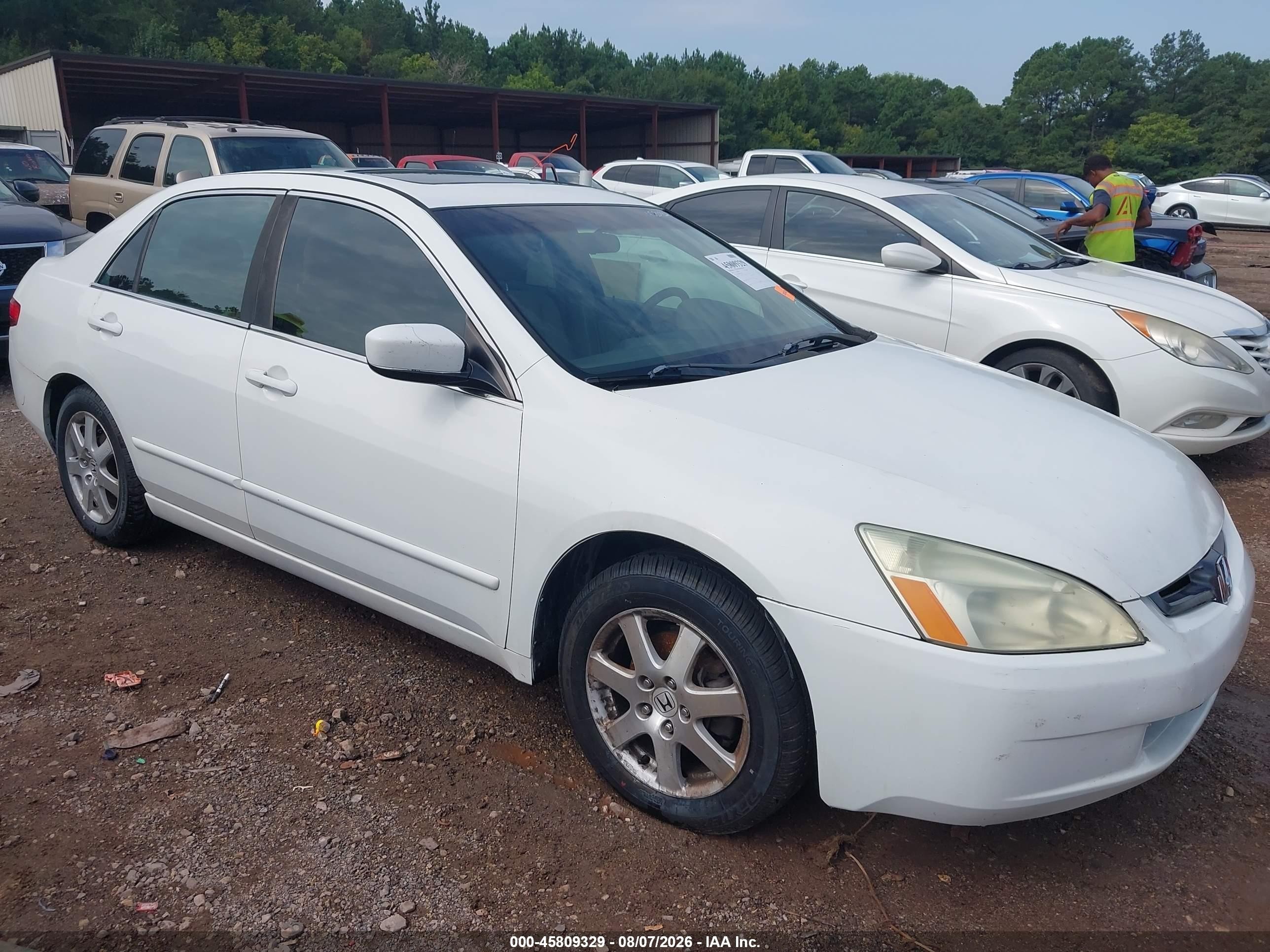 2005 Honda Accord 3.0 Ex White vin: 1HGCM66875A052777