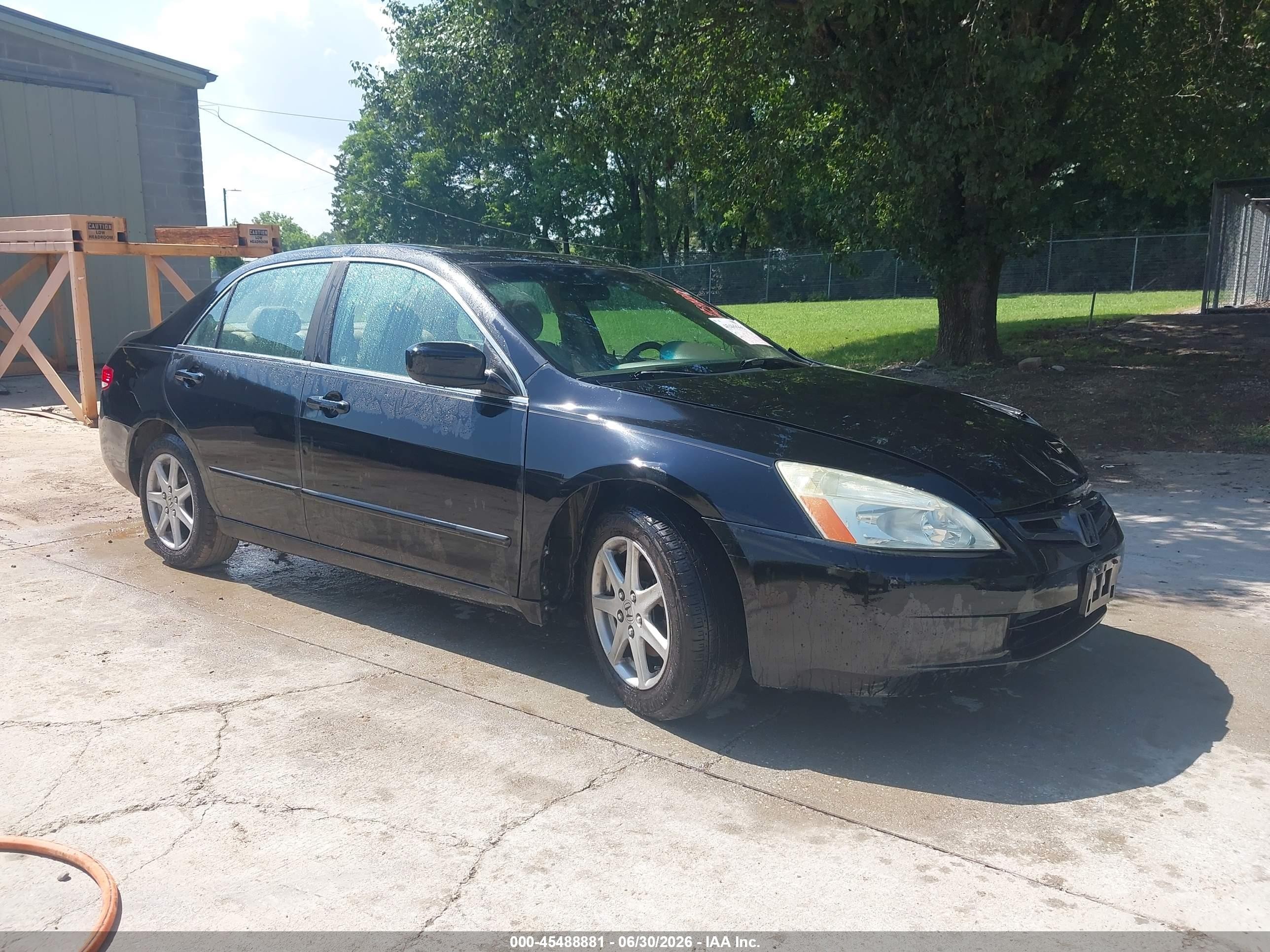 2004 Honda Accord 3.0 Ex Black vin: 1HGCM66884A005255