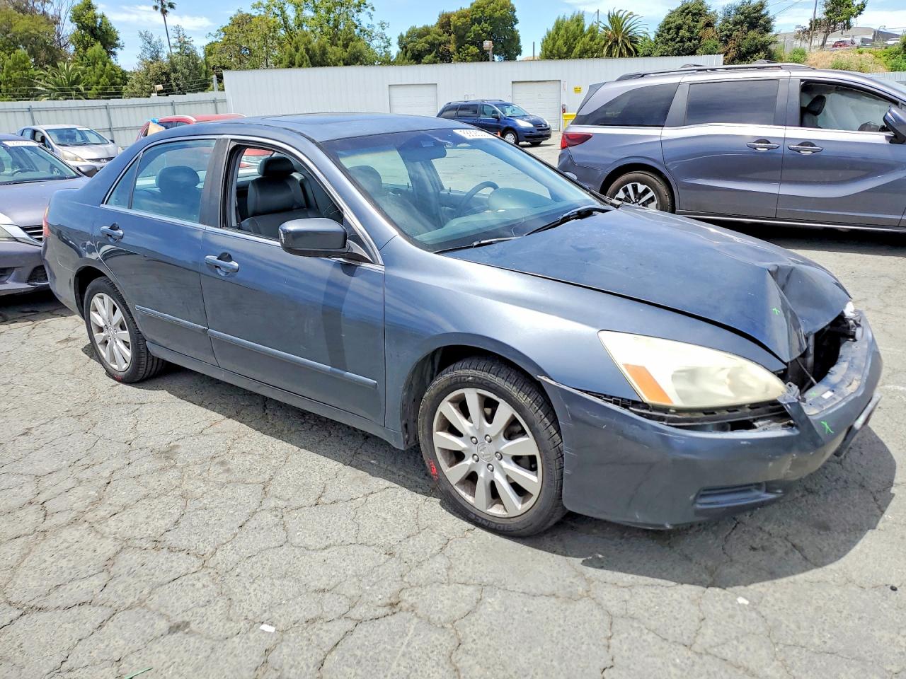 2006 Honda Accord Ex Gray vin: 1HGCM66886A041742