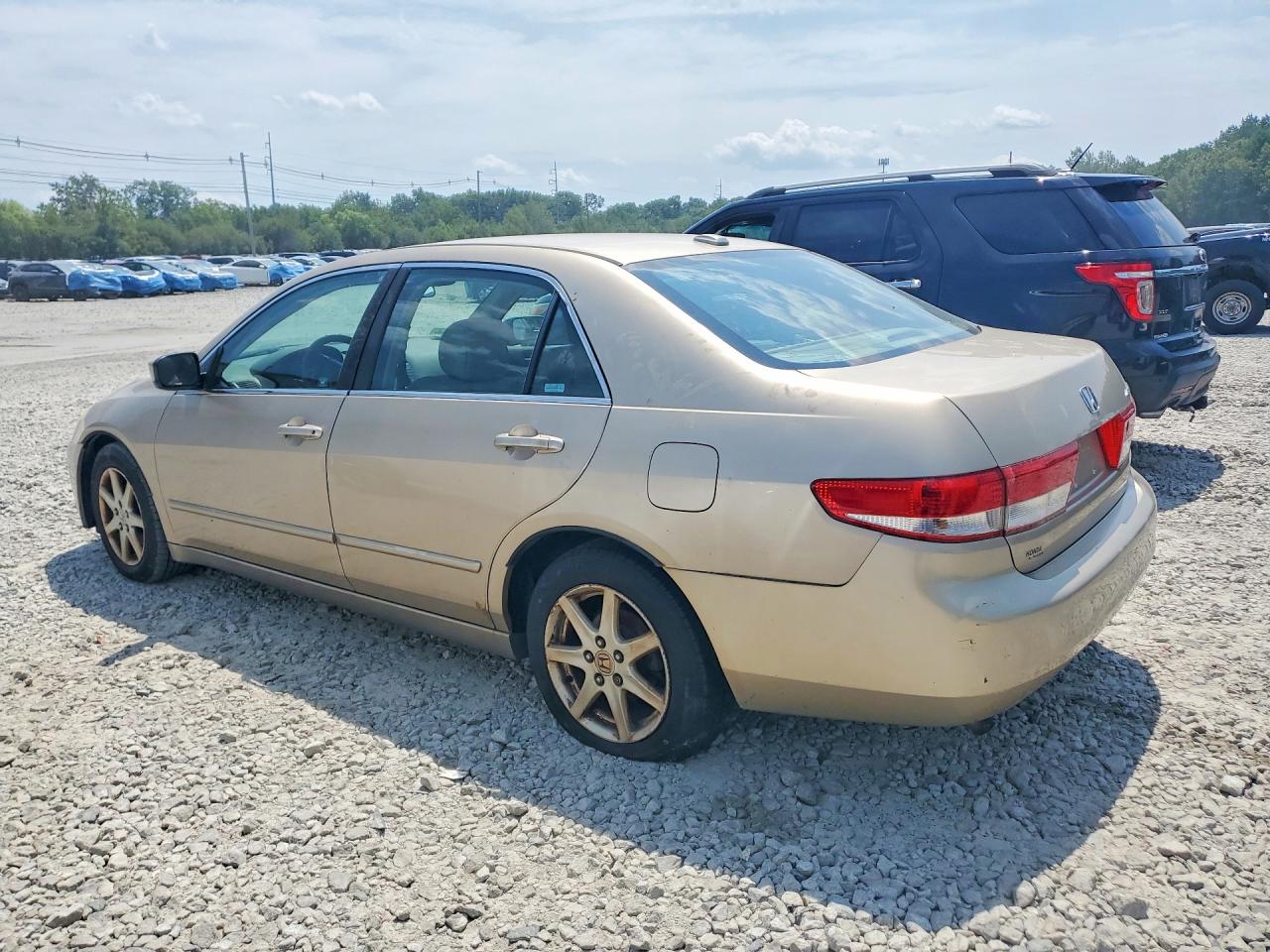 2004 Honda Accord Ex Gold vin: 1HGCM66894A022548