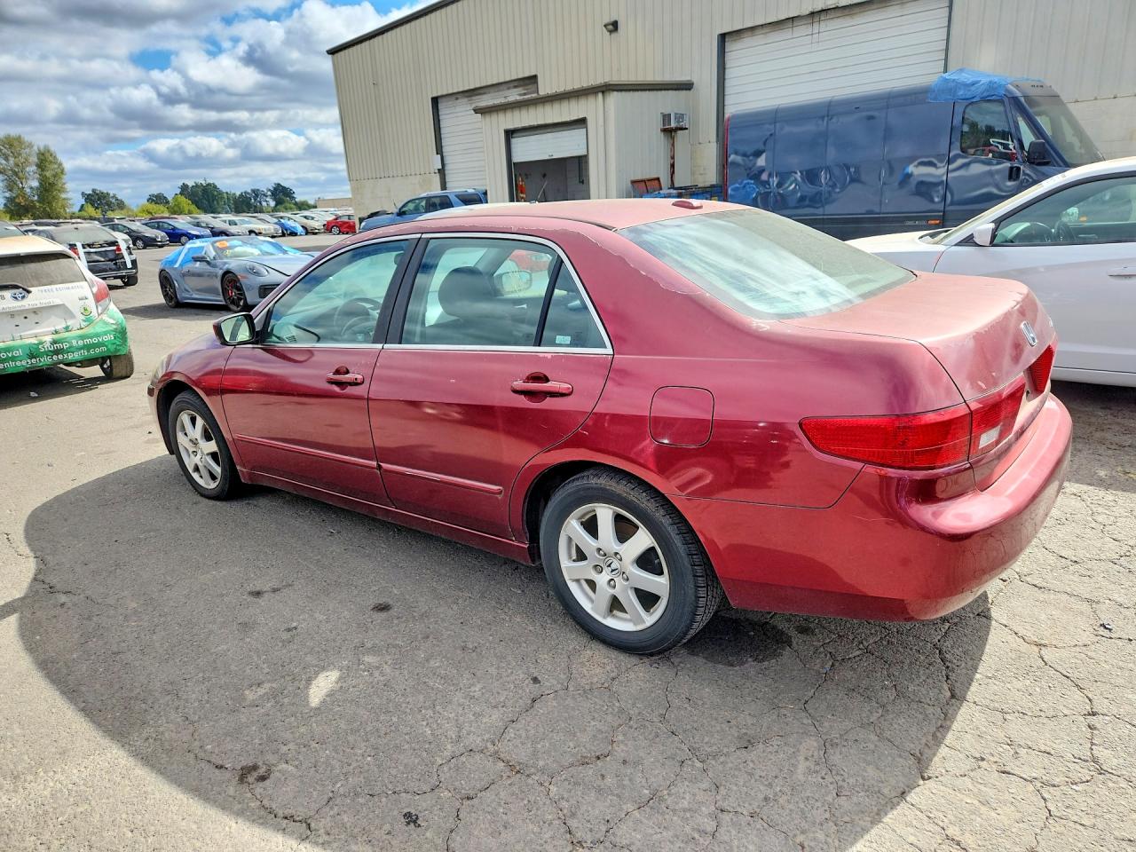 2005 Honda Accord Ex Maroon vin: 1HGCM668X5A057651