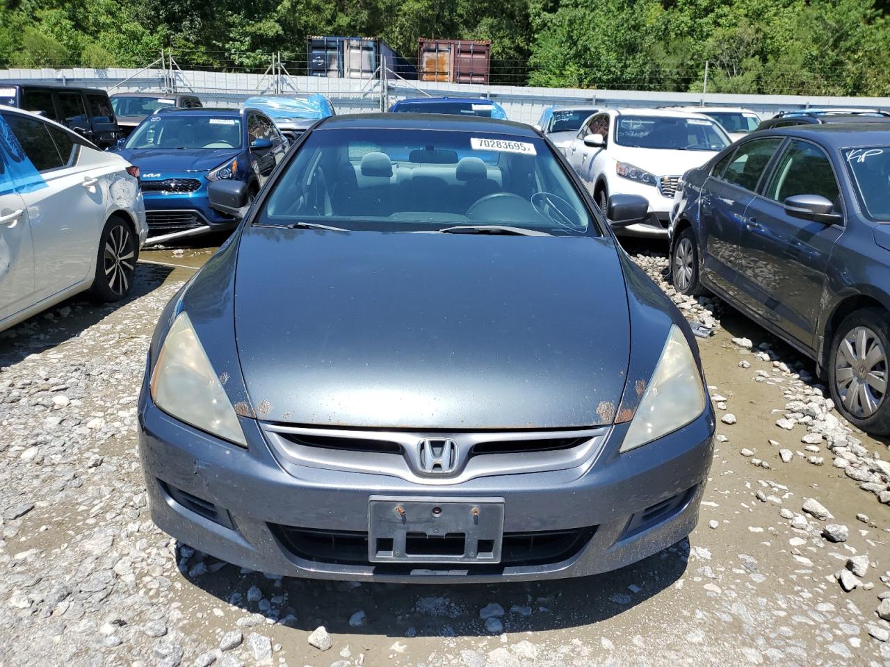 2006 Honda Accord Lx Blue vin: 1HGCM72346A017535