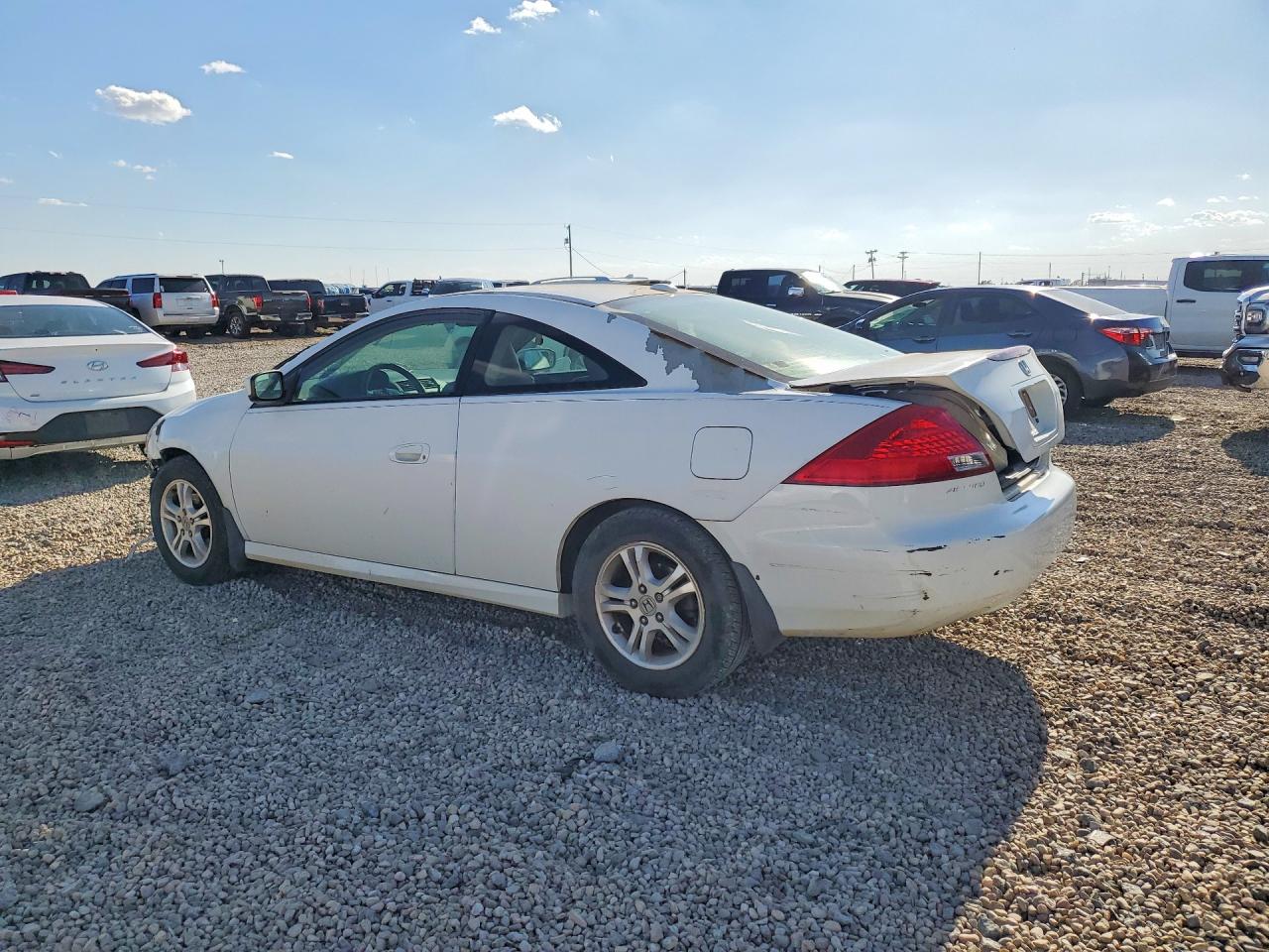 2007 Honda Accord Ex White vin: 1HGCM72677A015340