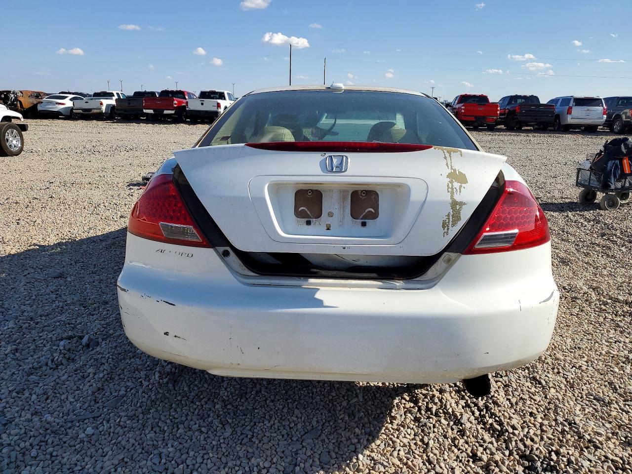 2007 Honda Accord Ex White vin: 1HGCM72677A015340