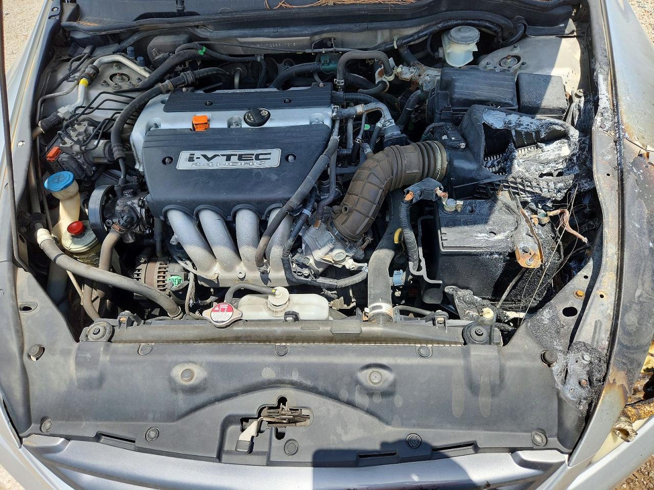2006 Honda Accord Ex Silver vin: 1HGCM72686A021811