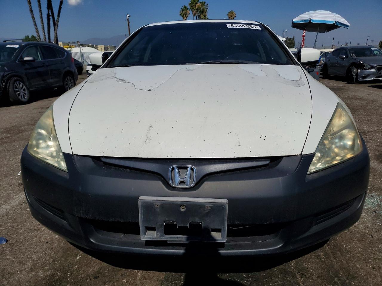 2003 Honda Accord Ex Белый vin: 1HGCM726X3A026617